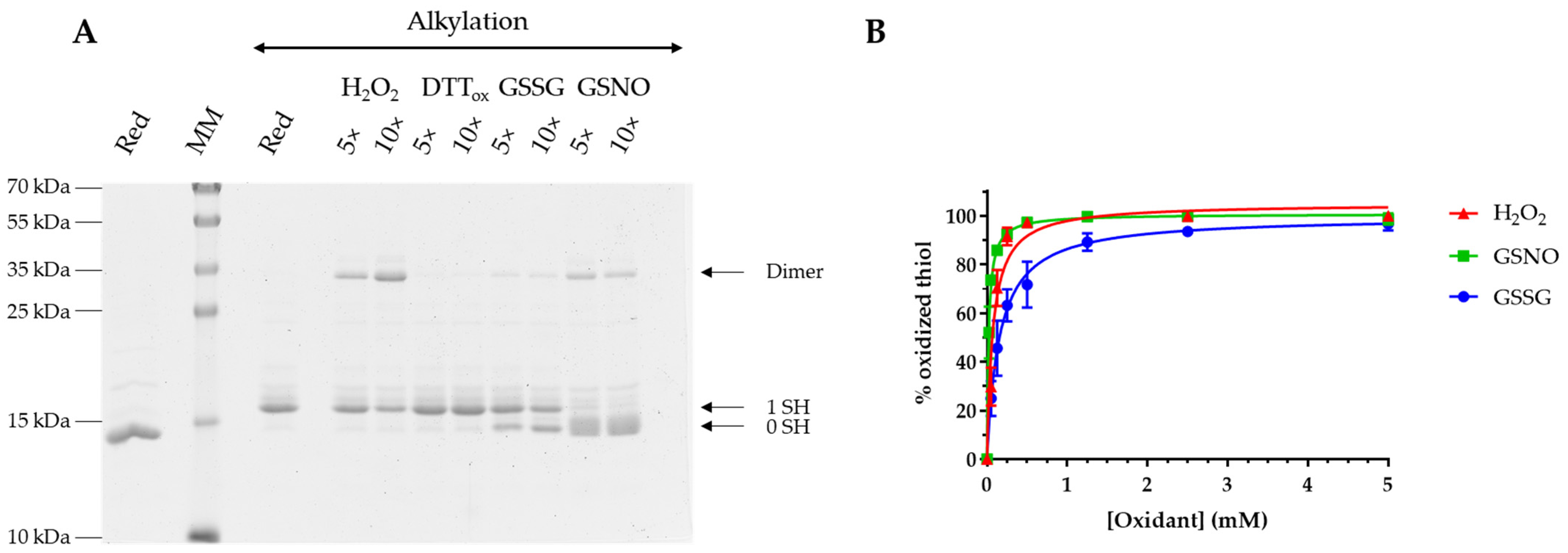 Antioxidants 12 00102 g002