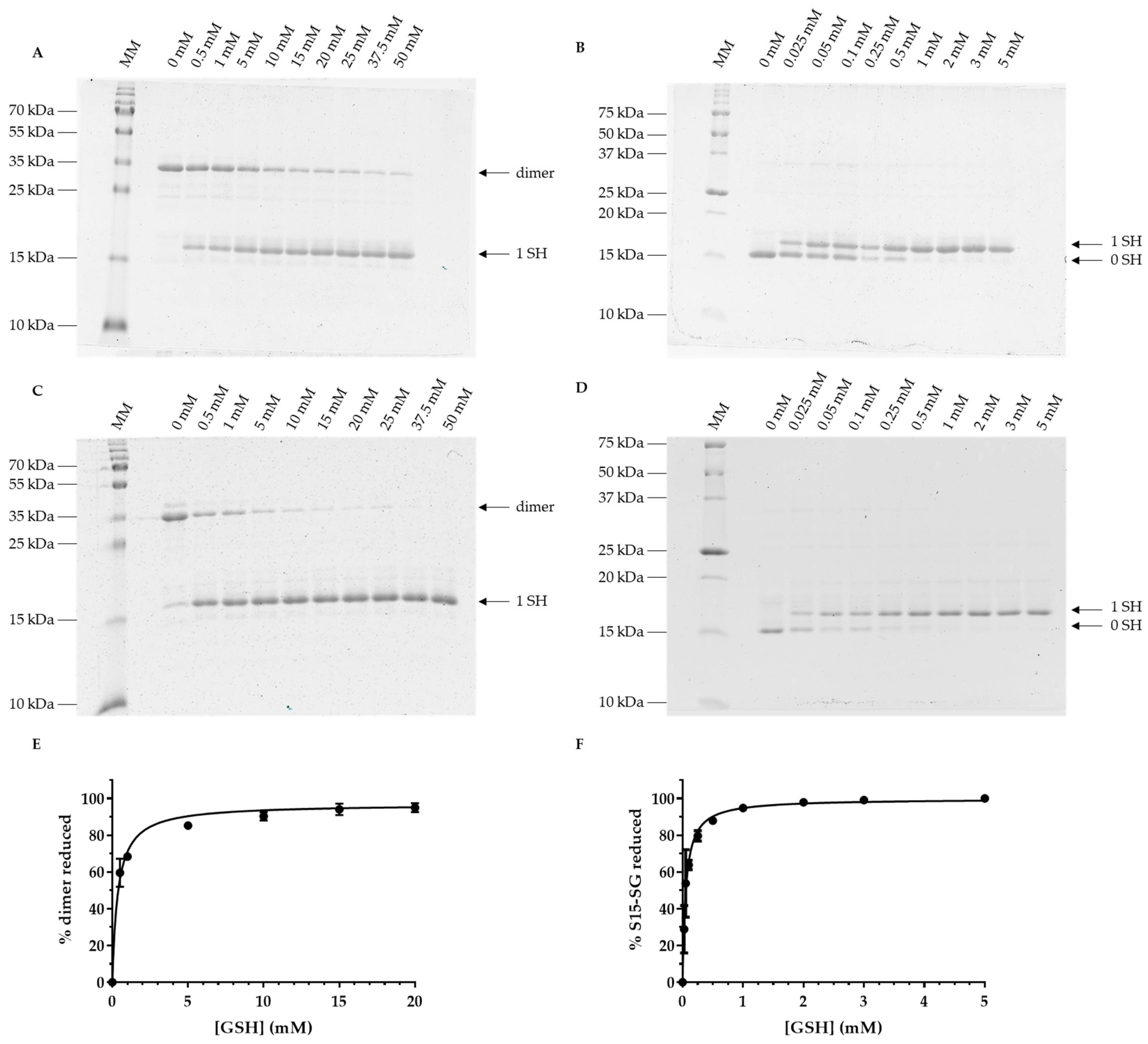 Antioxidants 12 00102 g005