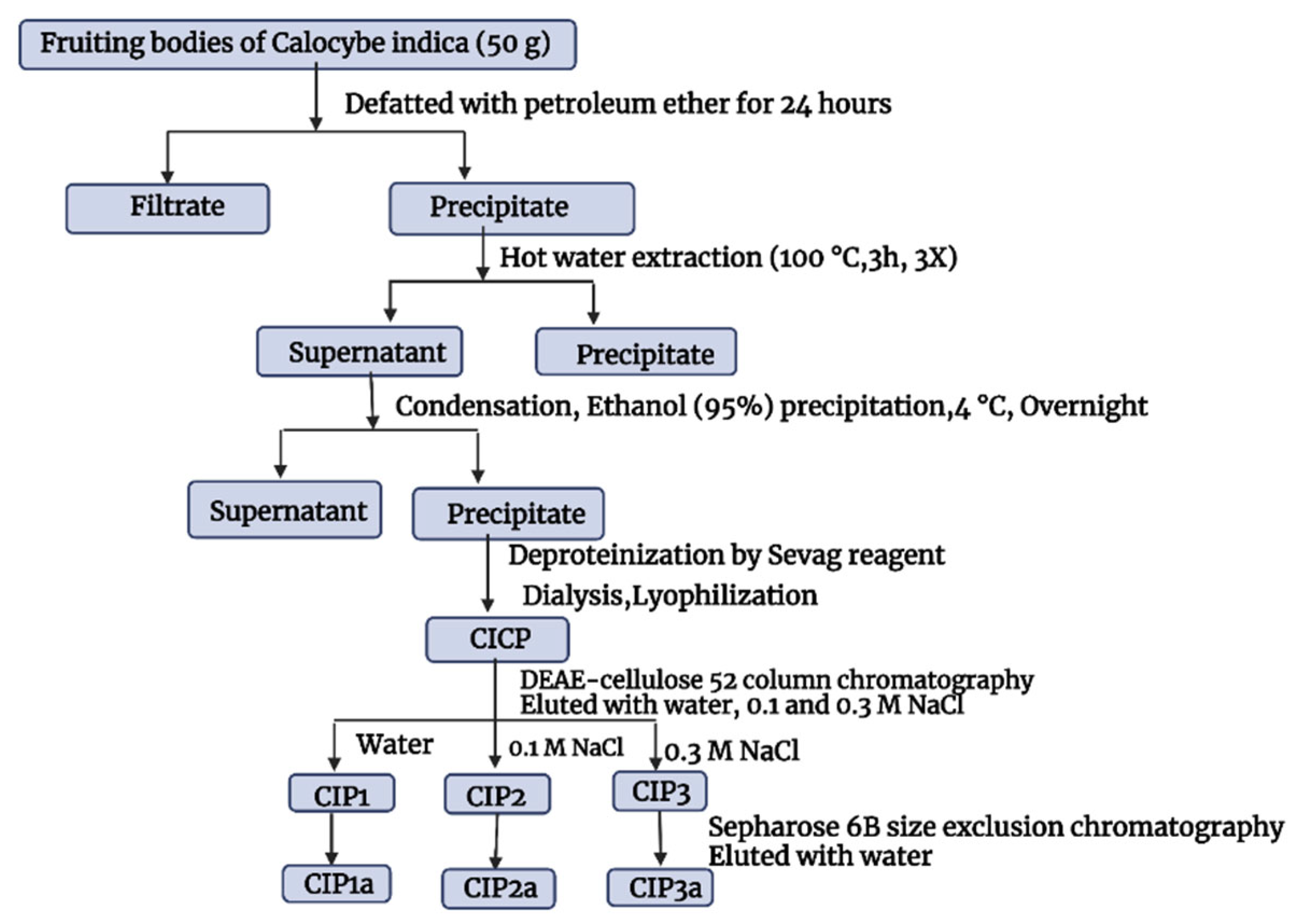 Antioxidants 12 00105 g001 Antioxidants 12 00105 g001