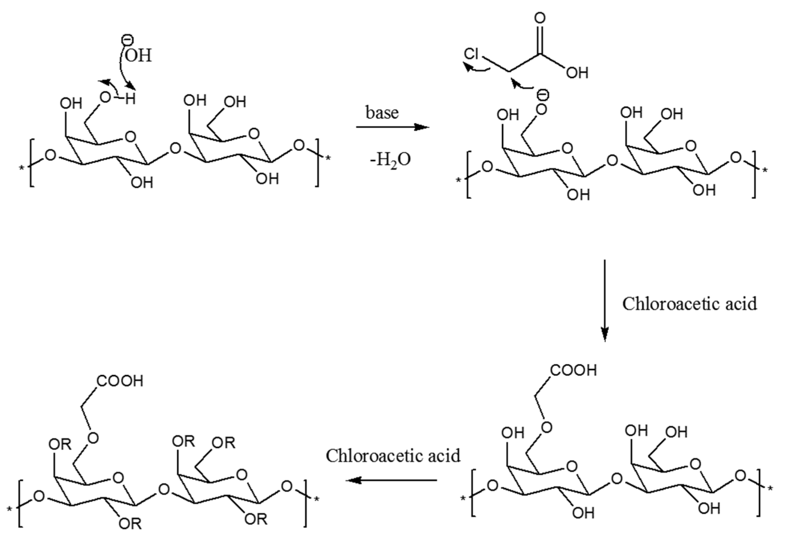 Antioxidants 12 00105 g002 Antioxidants 12 00105 g002