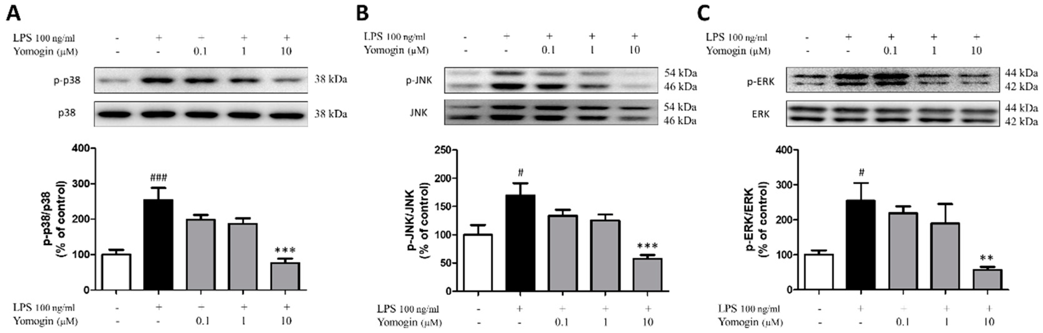 Antioxidants 12 00106 g006