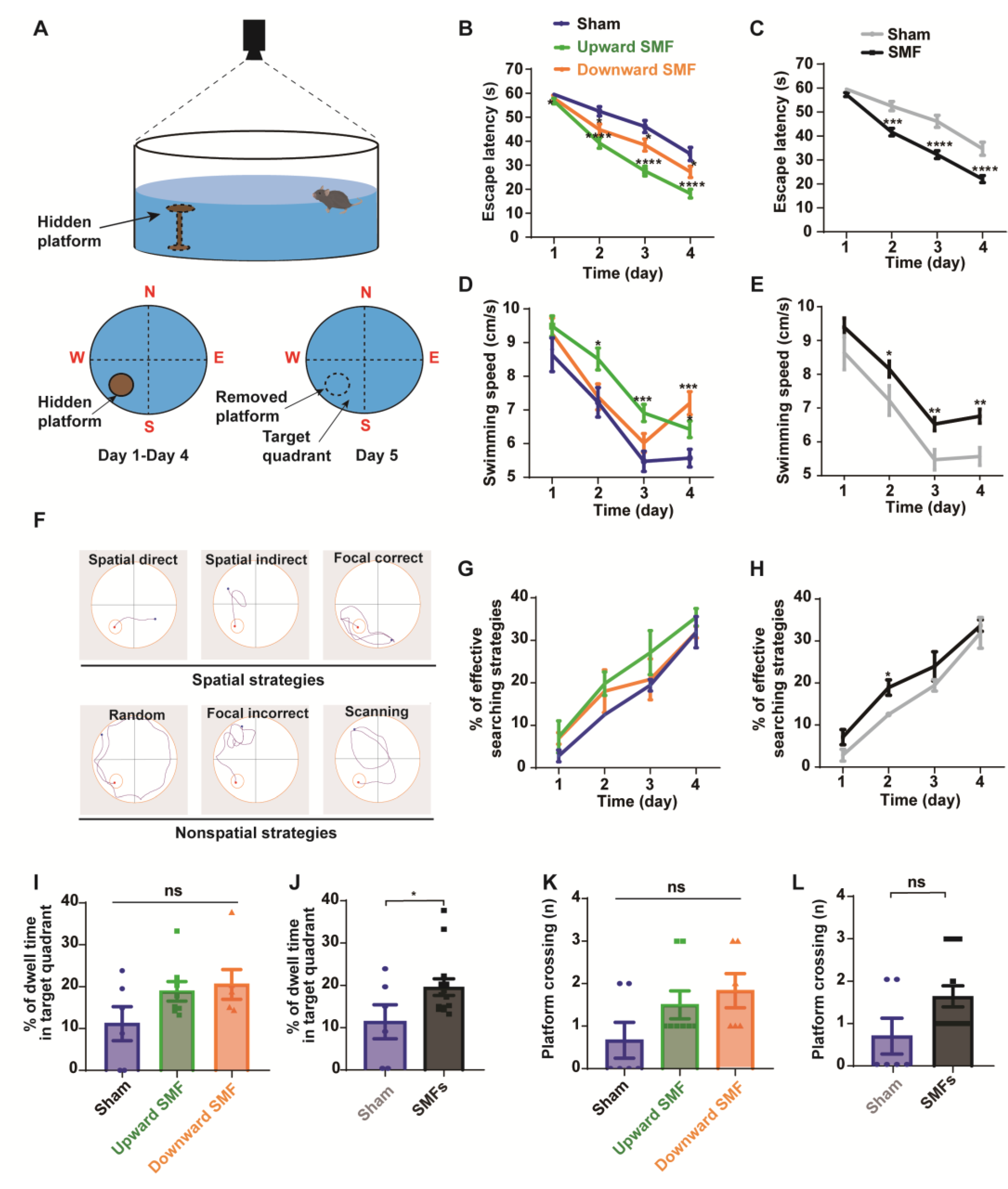 Antioxidants 12 00108 g004