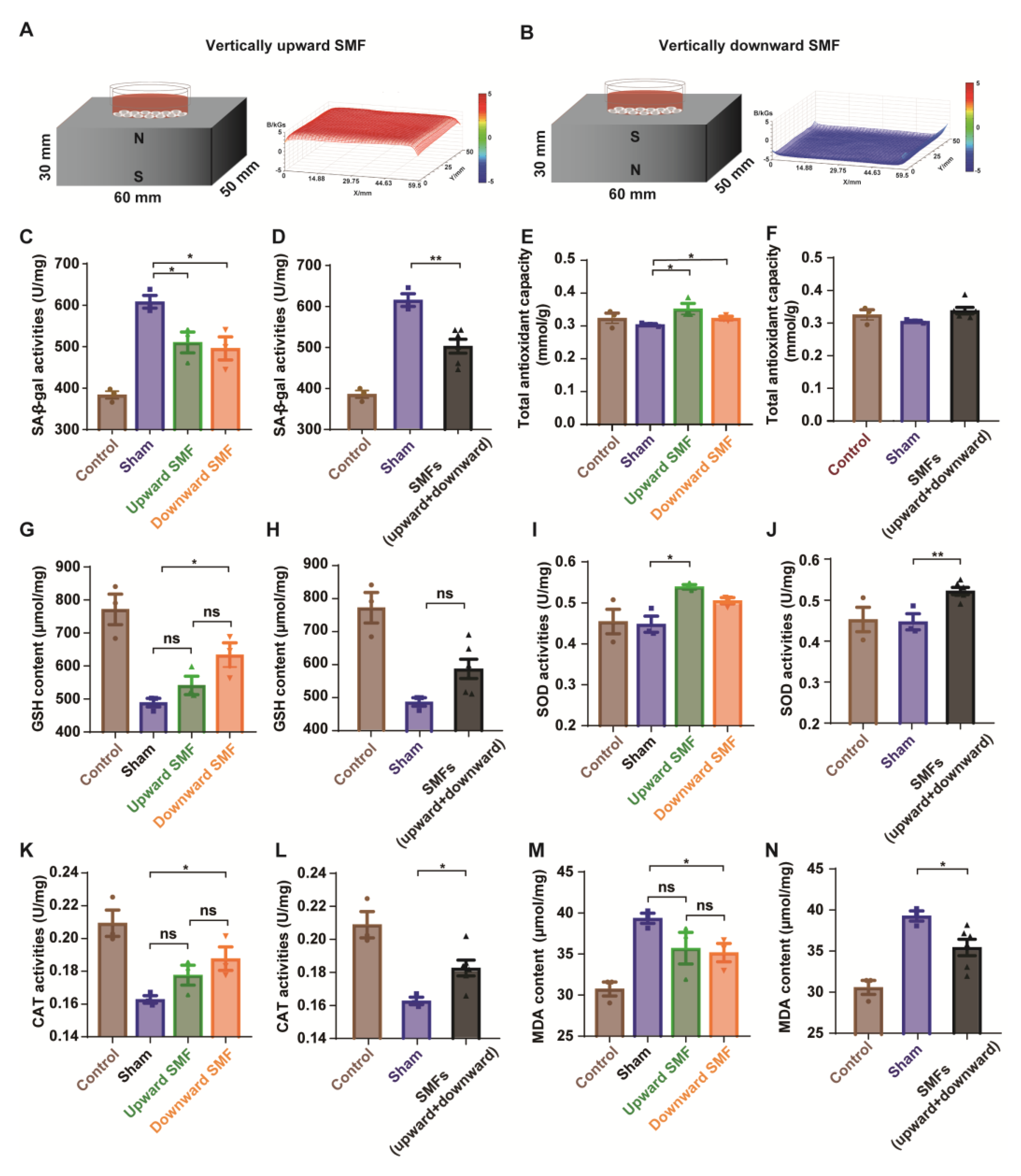 Antioxidants 12 00108 g005