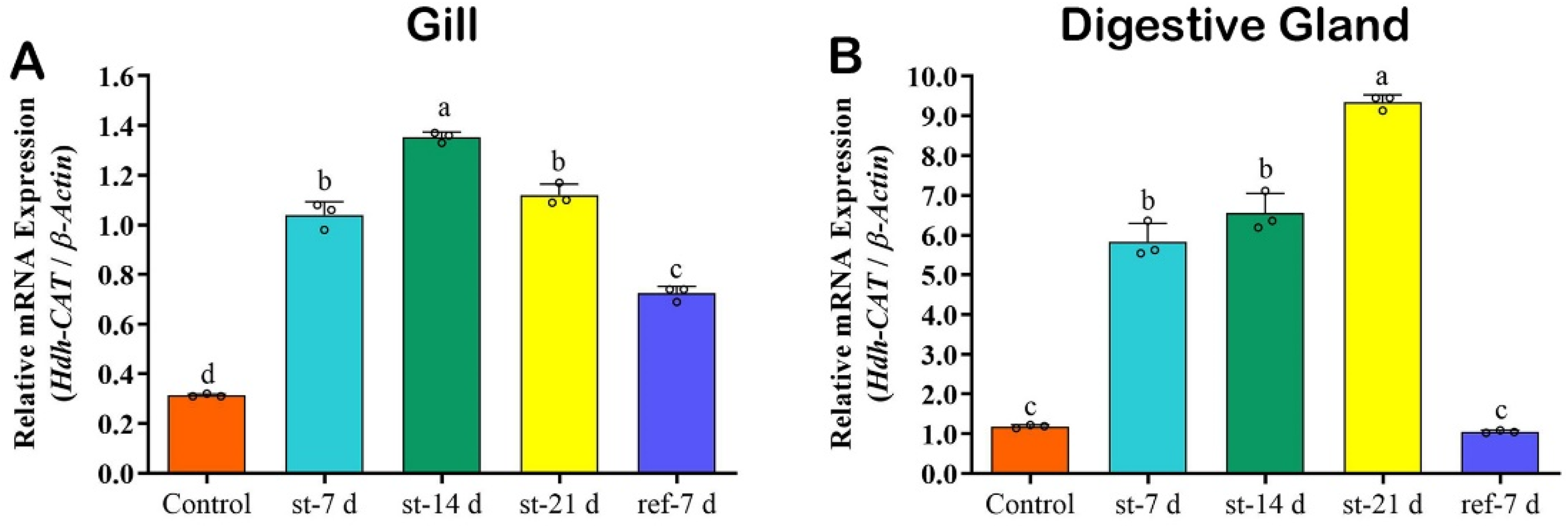 Antioxidants 12 00109 g005 Antioxidants 12 00109 g005
