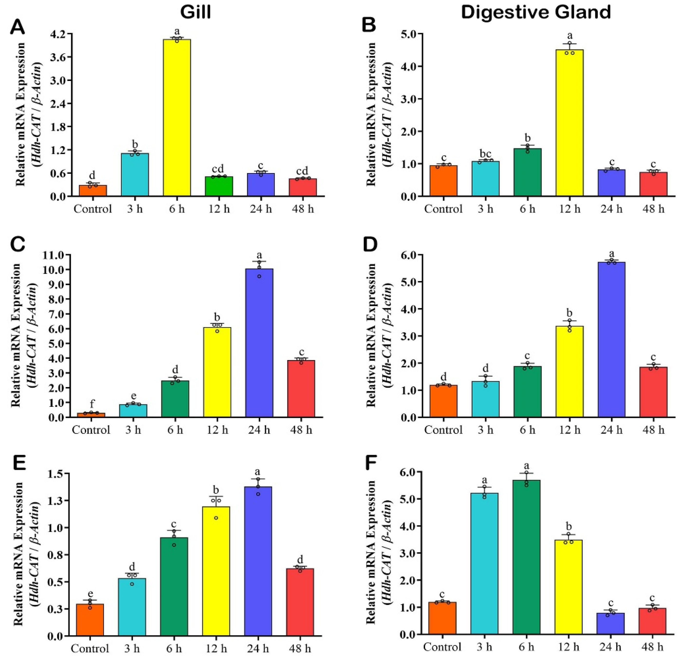 Antioxidants 12 00109 g006 Antioxidants 12 00109 g006