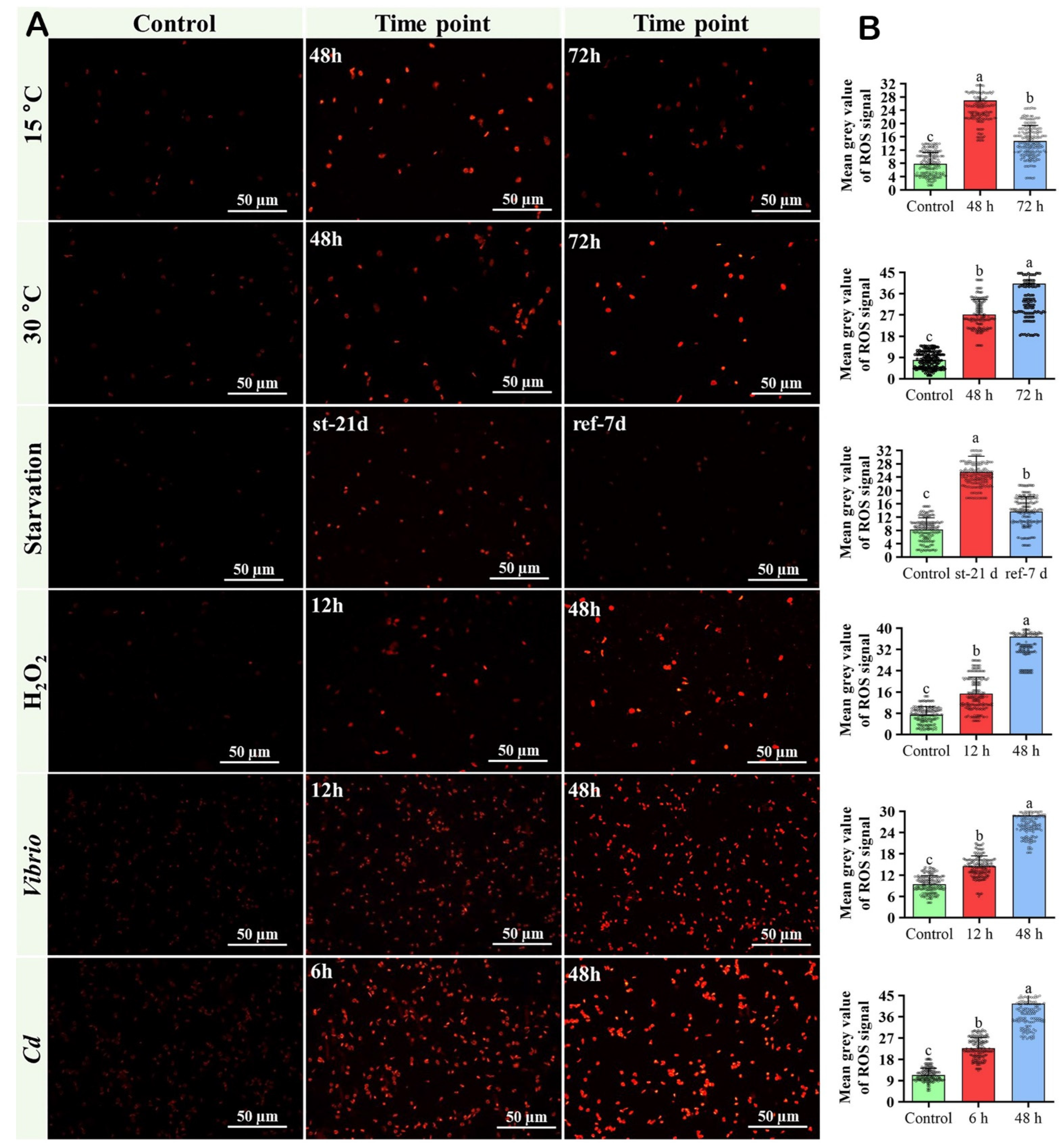Antioxidants 12 00109 g010 Antioxidants 12 00109 g010