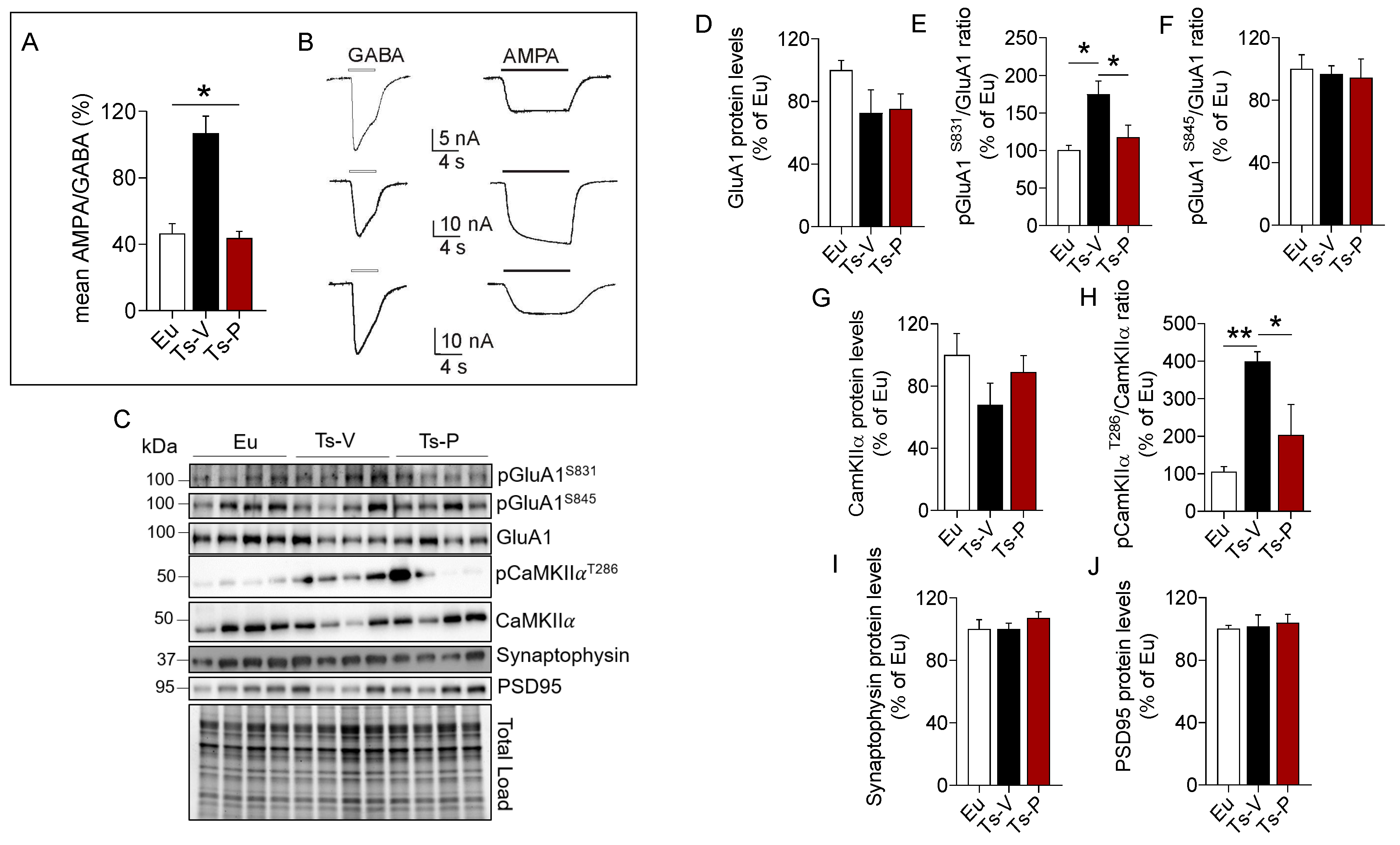 Antioxidants 12 00111 g005
