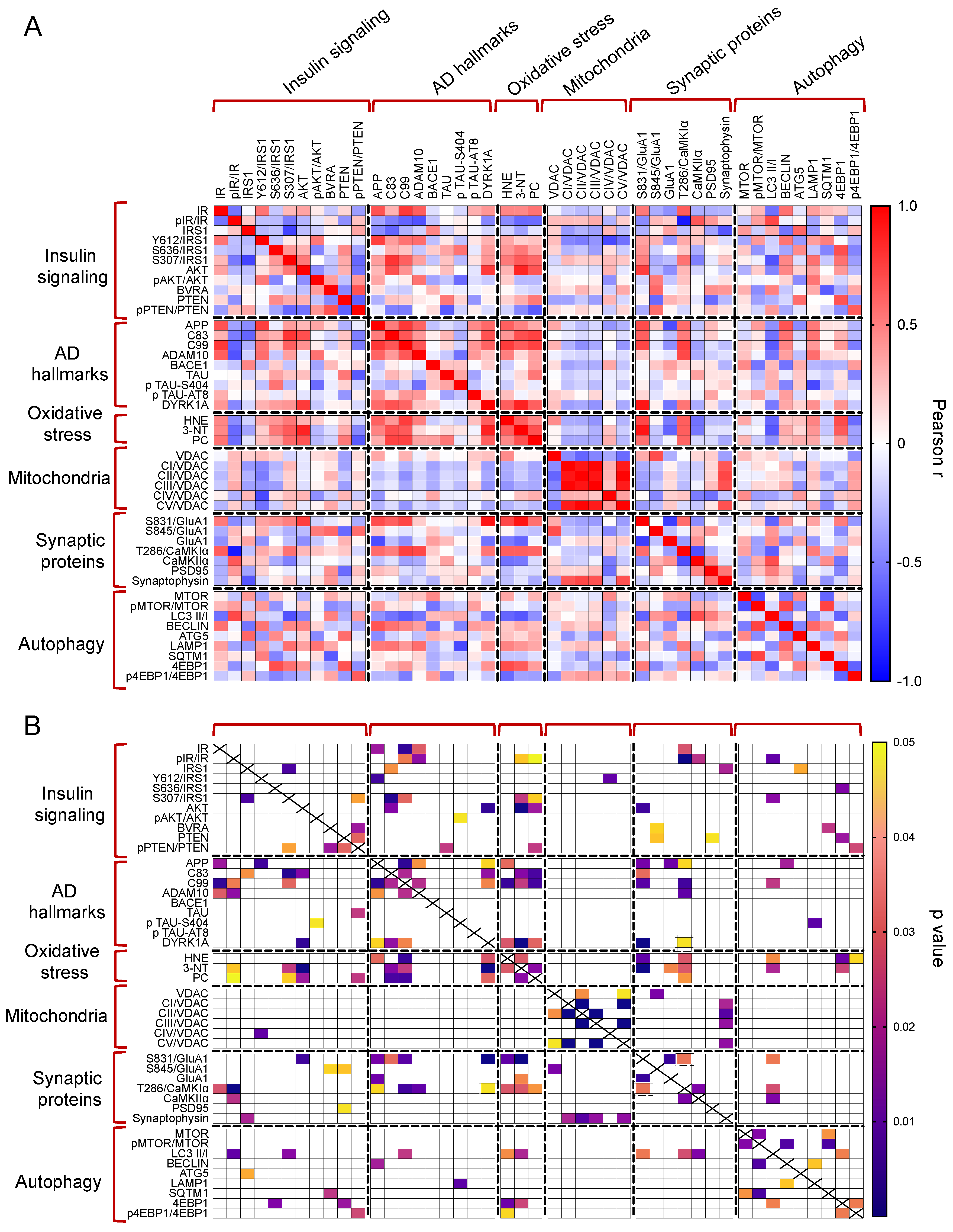 Antioxidants 12 00111 g006