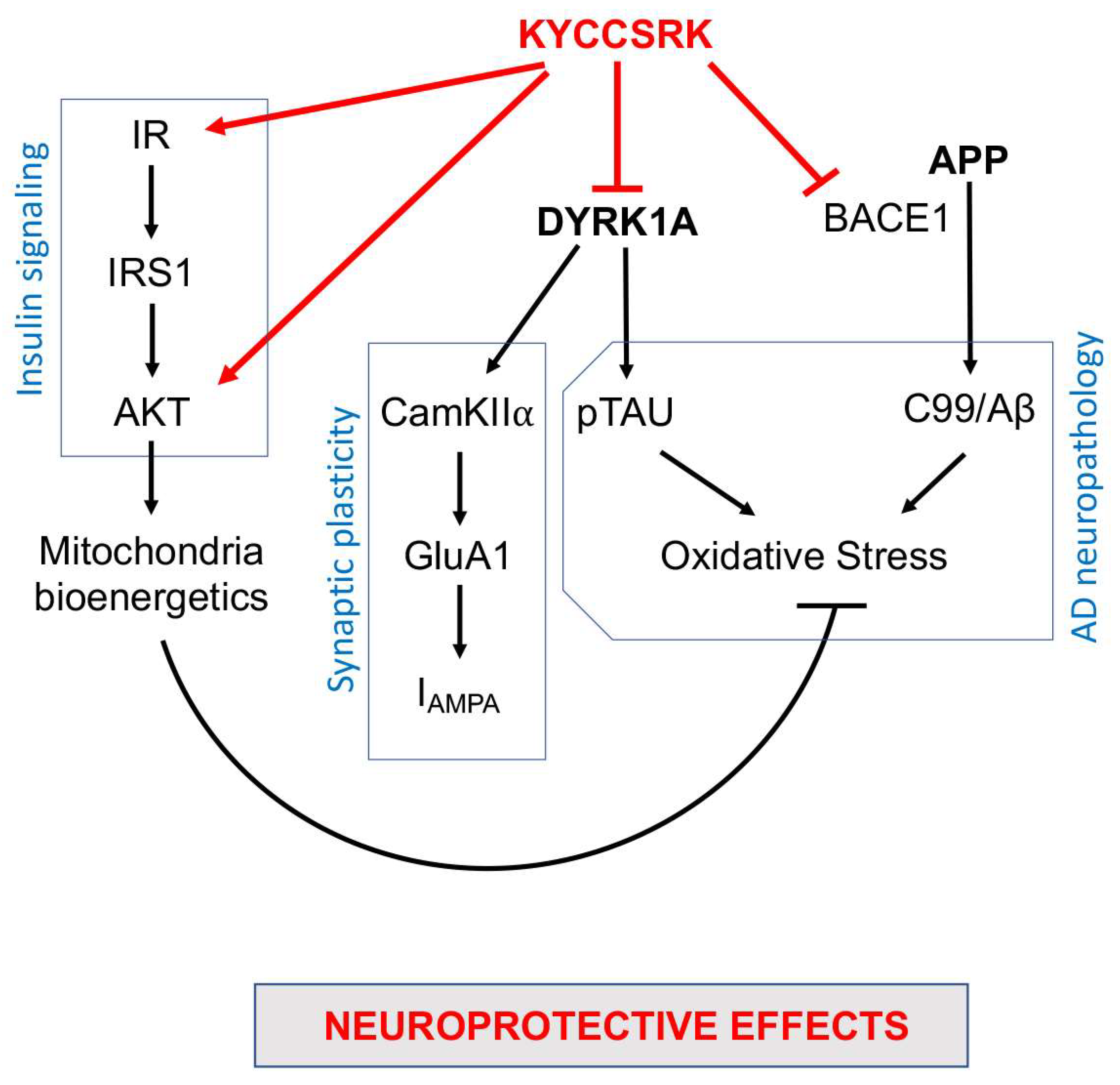 Antioxidants 12 00111 g008