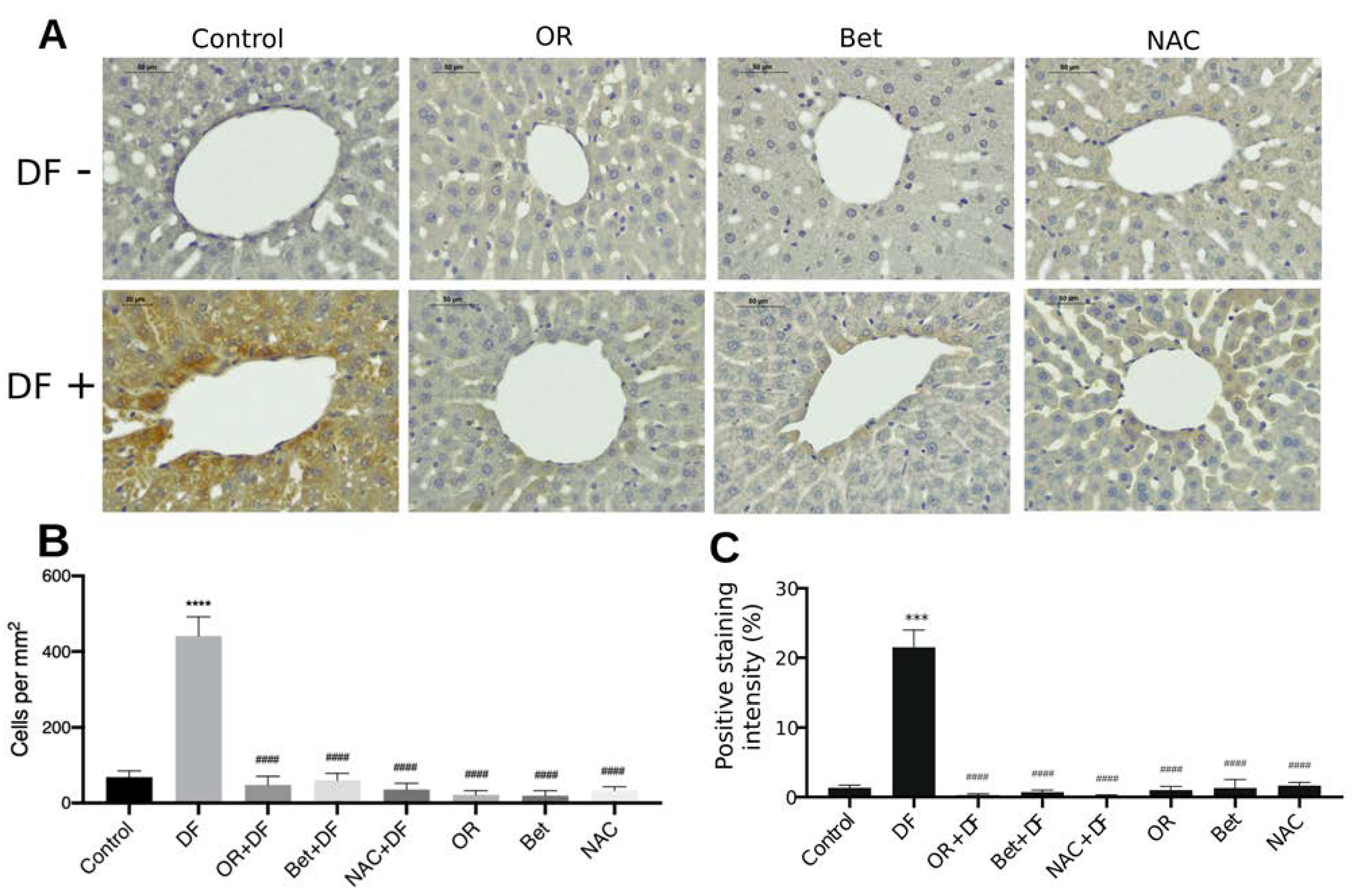Antioxidants 12 00113 g005