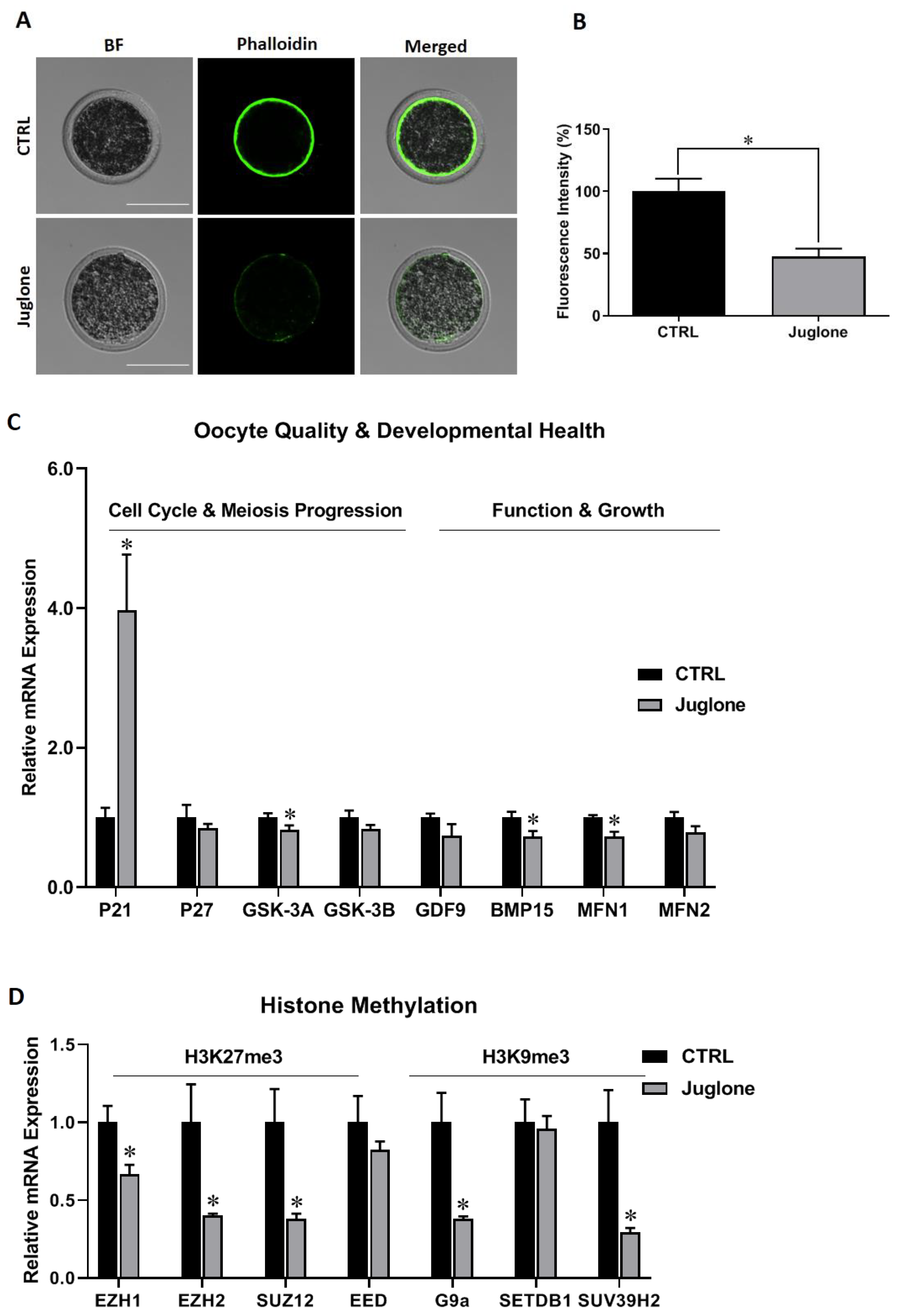 Antioxidants 12 00114 g001 Antioxidants 12 00114 g001