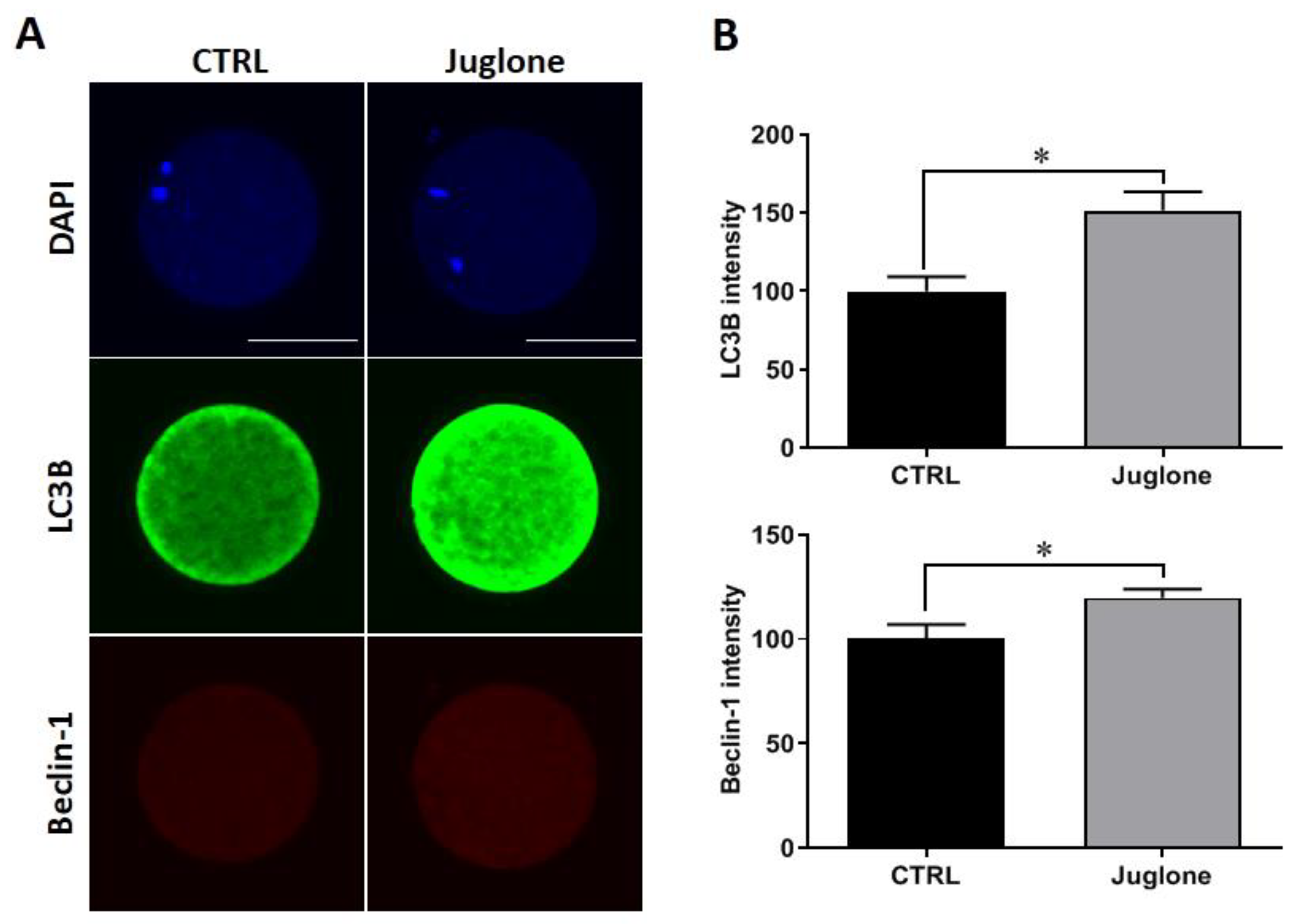 Antioxidants 12 00114 g003 Antioxidants 12 00114 g003