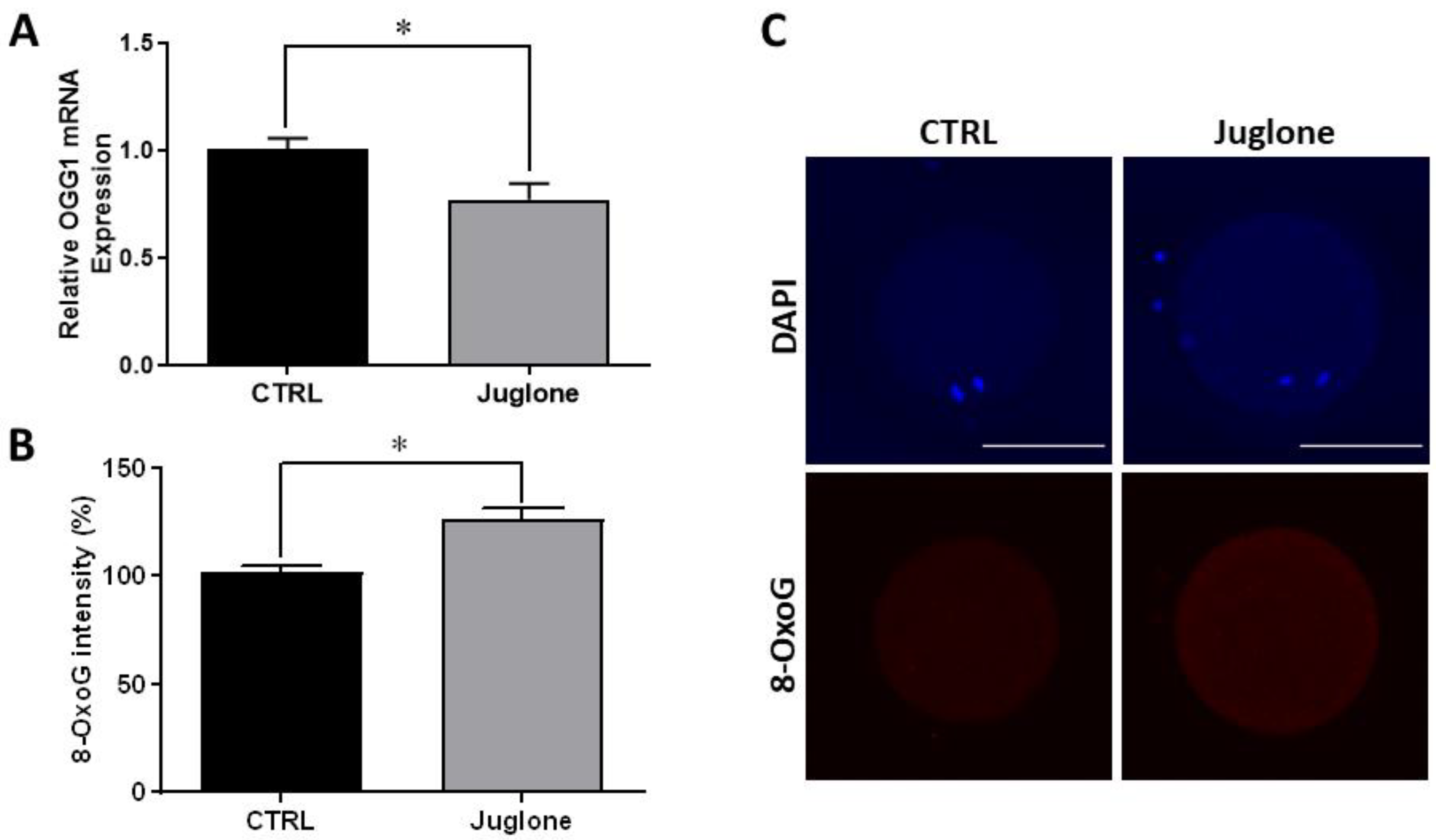 Antioxidants 12 00114 g004 Antioxidants 12 00114 g004