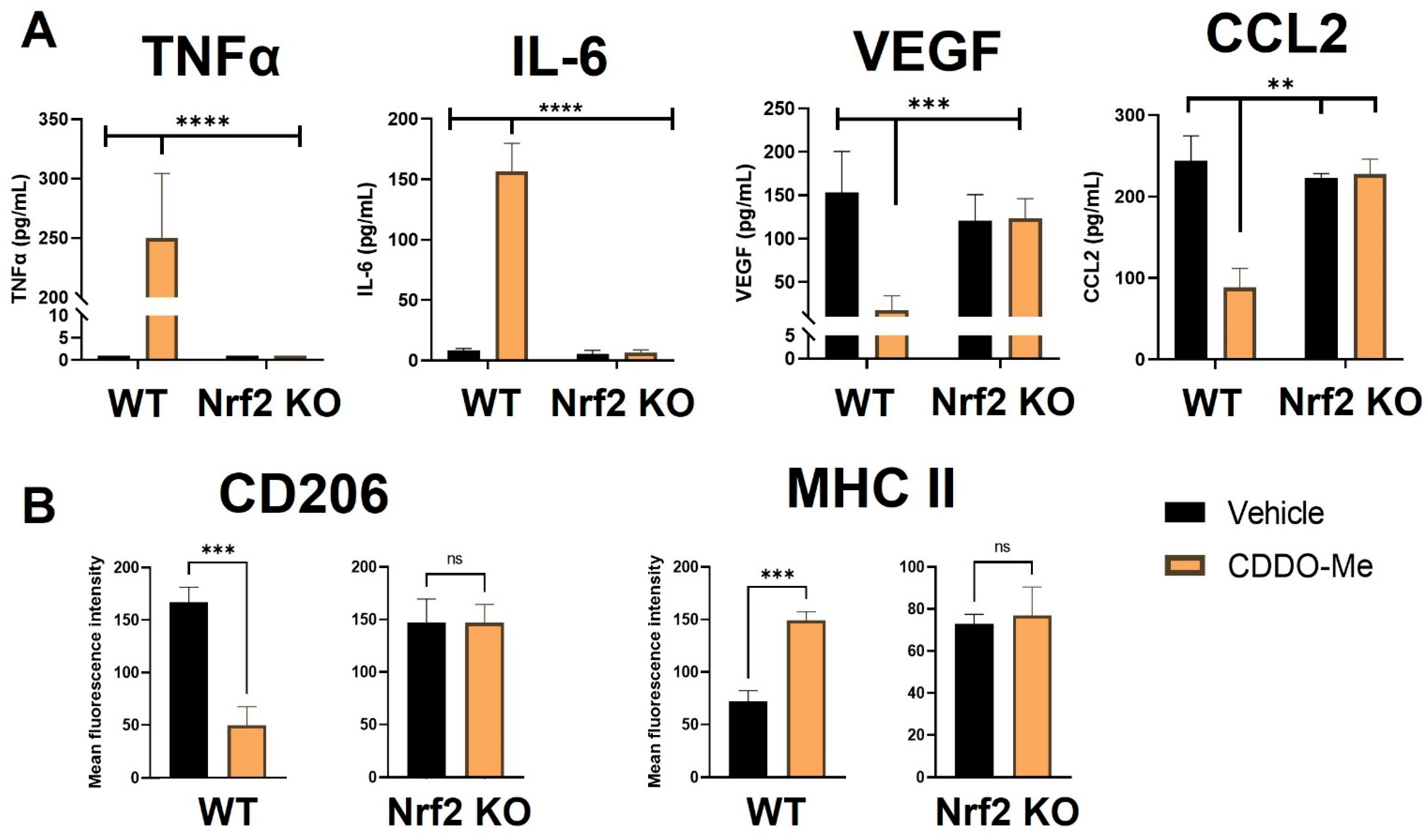 Antioxidants 12 00116 g003