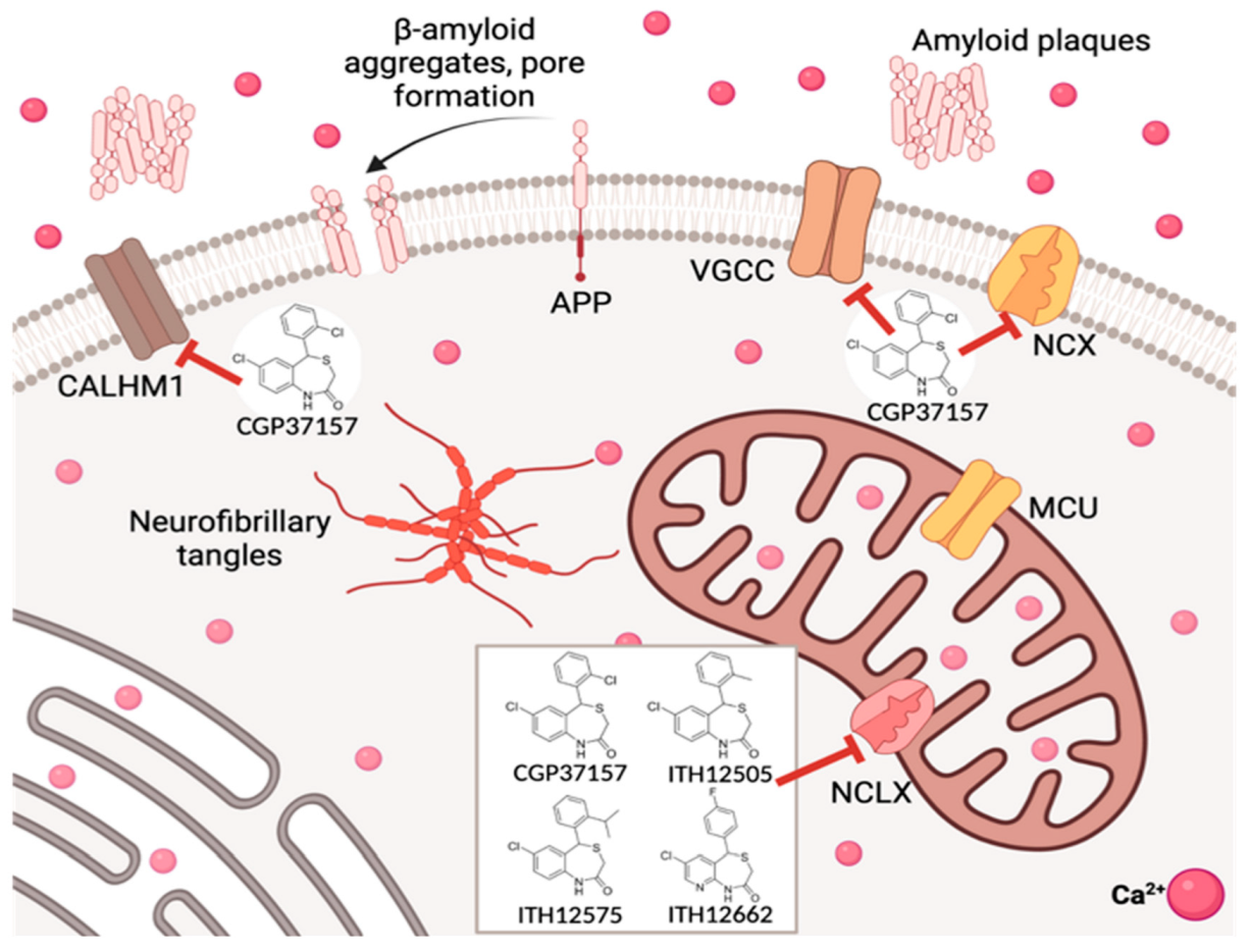Antioxidants 12 00118 g004 Antioxidants 12 00118 g004
