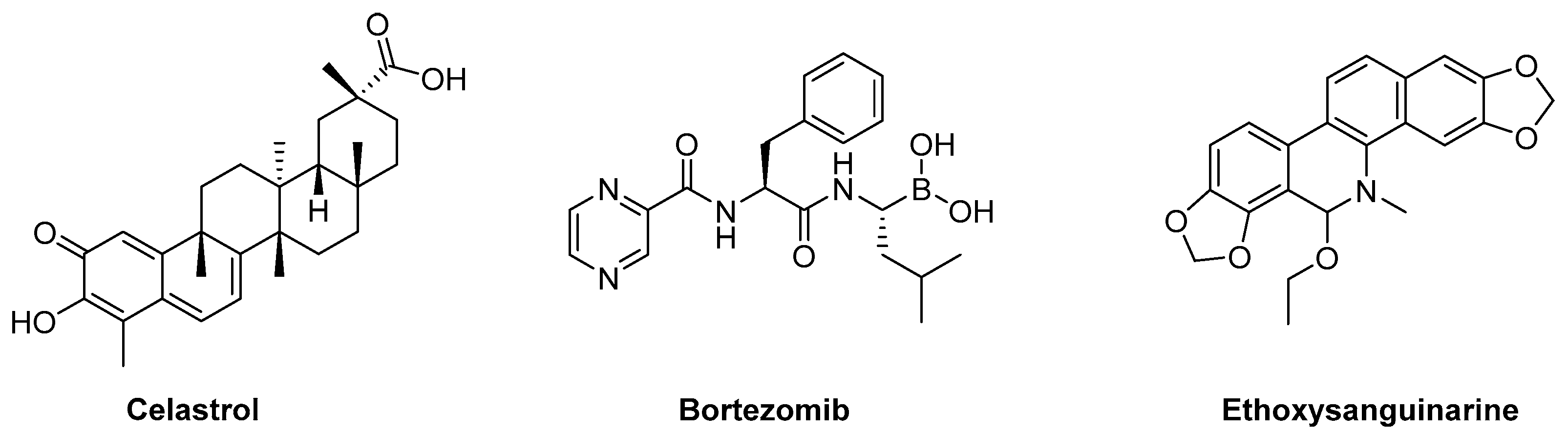 Antioxidants 12 00118 g006 Antioxidants 12 00118 g006
