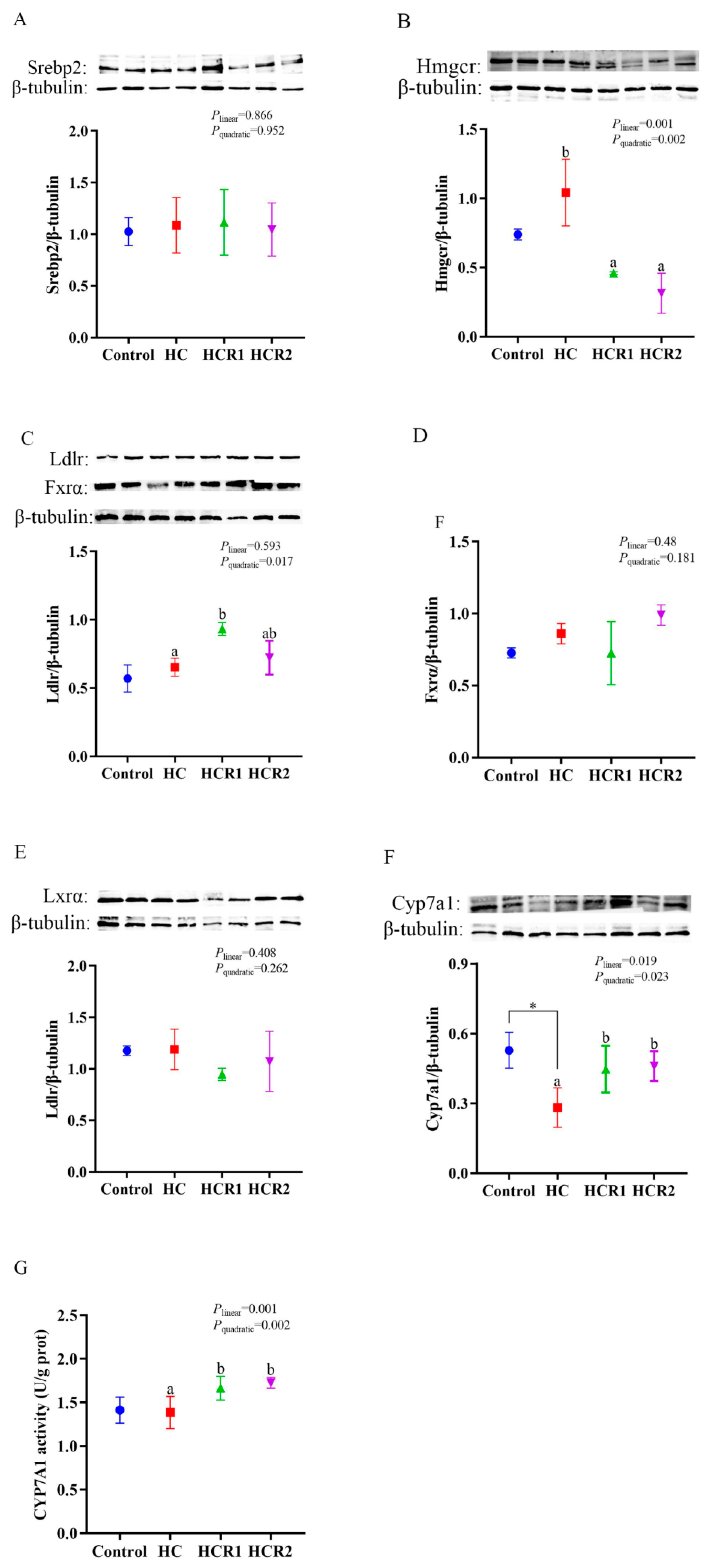 Antioxidants 12 00121 g008 Antioxidants 12 00121 g008