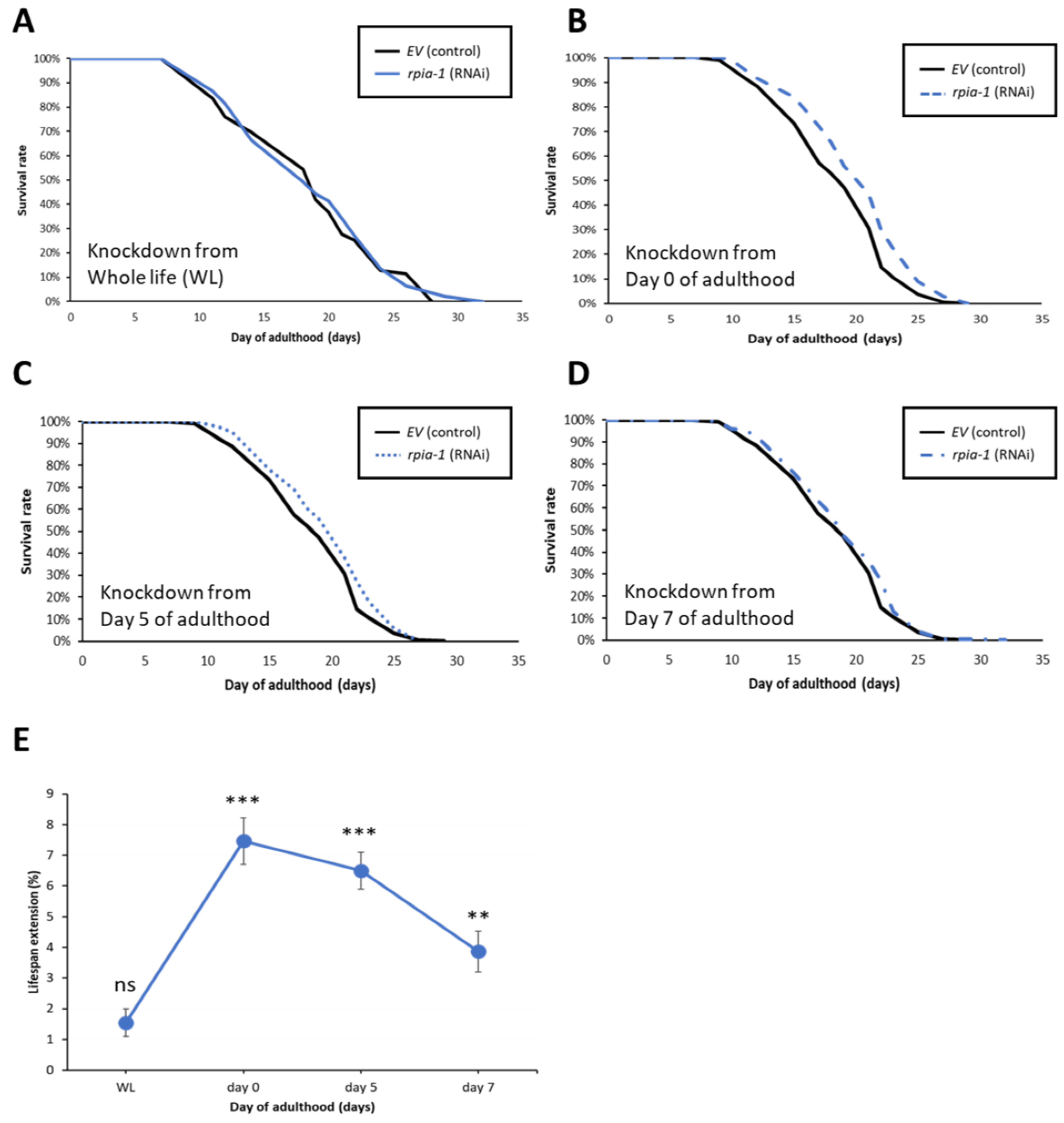 Antioxidants 12 00124 g003