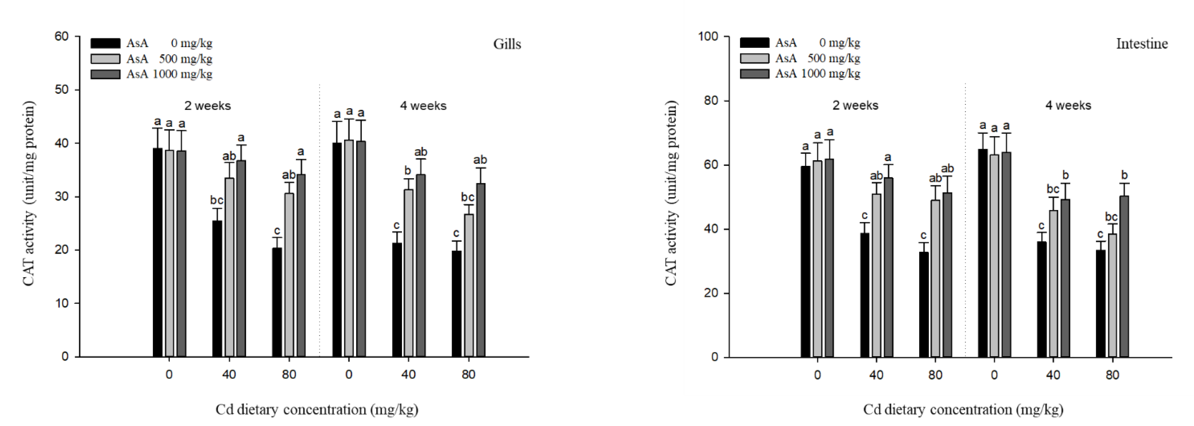 Antioxidants 12 00128 g006b