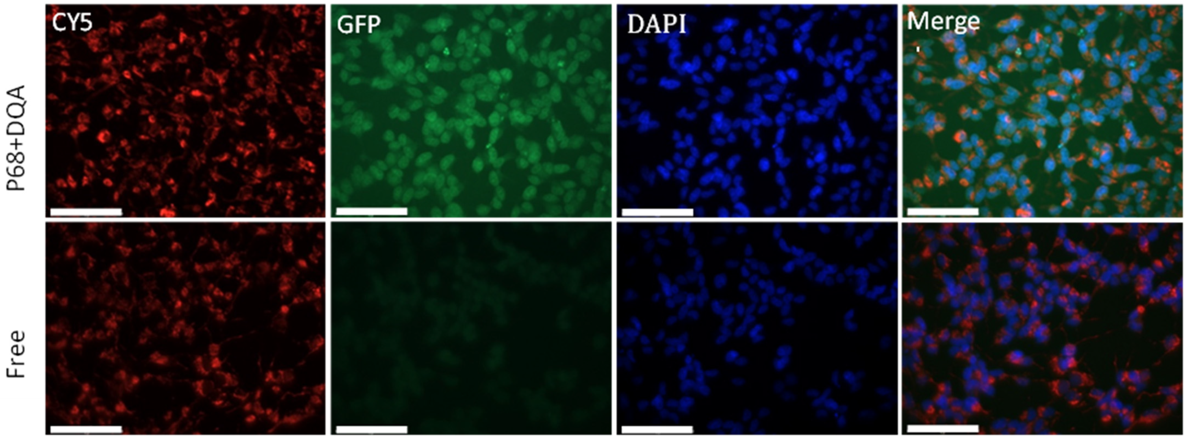 Antioxidants 12 00130 g006
