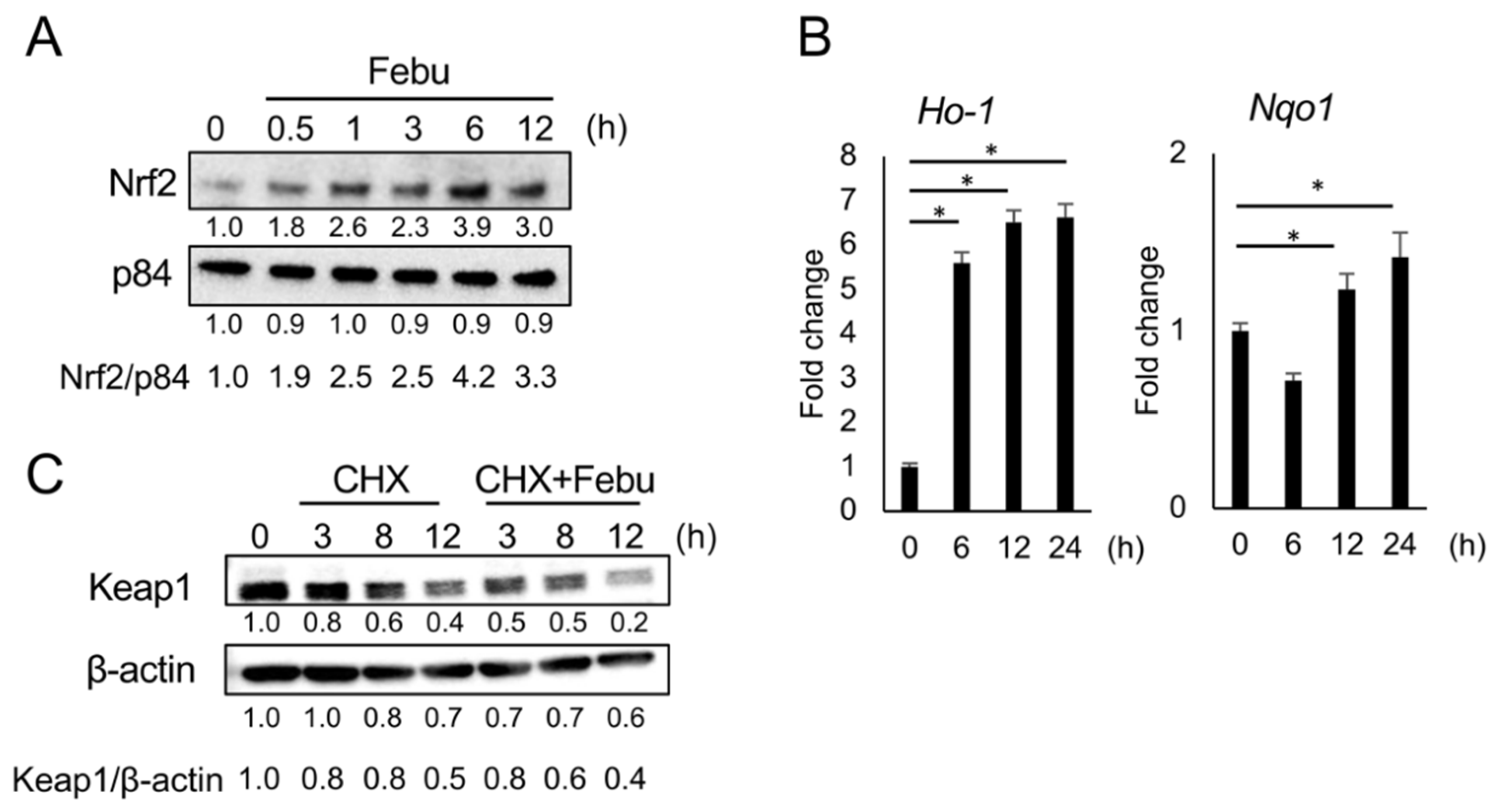 Antioxidants 12 00133 g008 Antioxidants 12 00133 g008