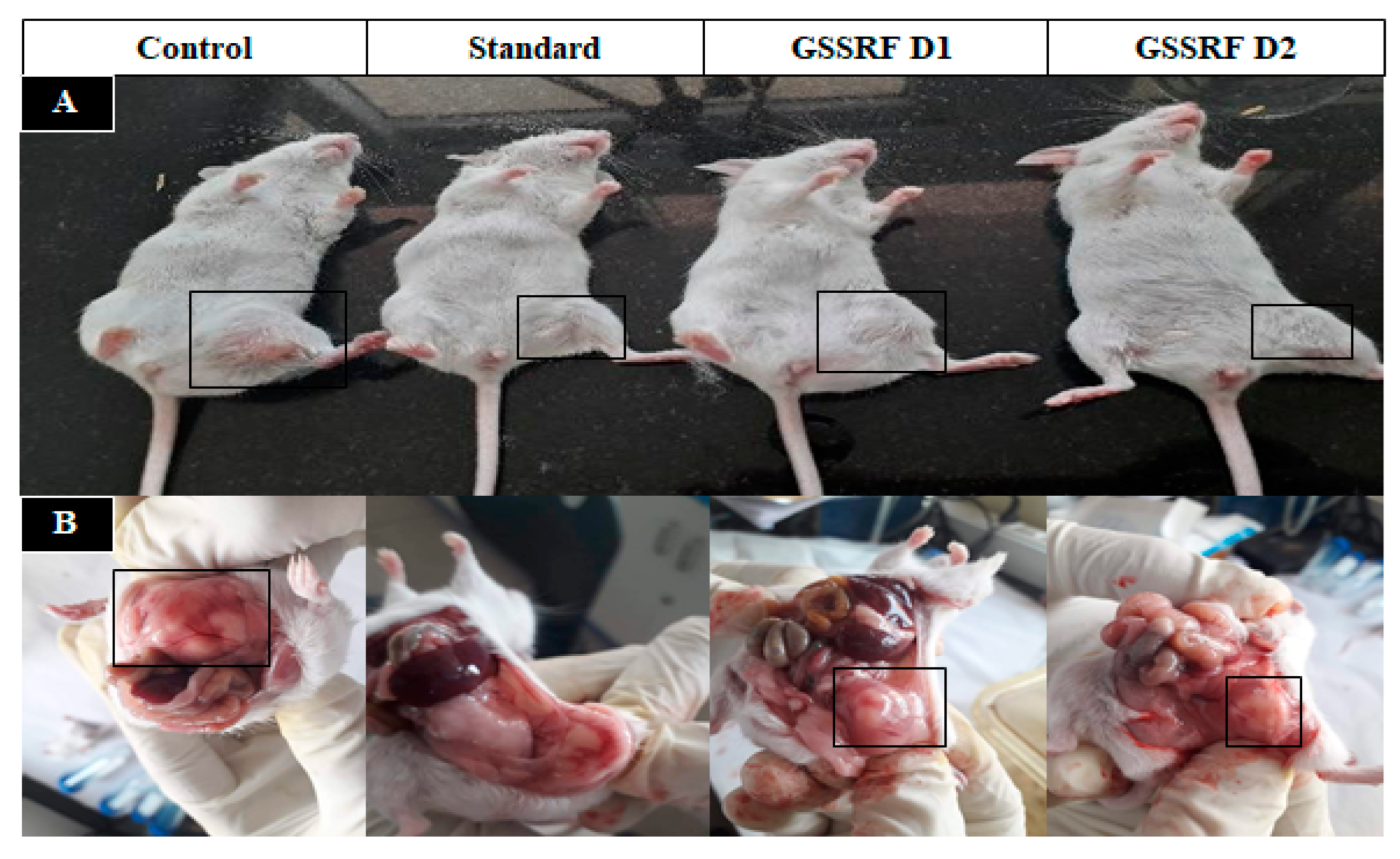 Antioxidants 12 00134 g004