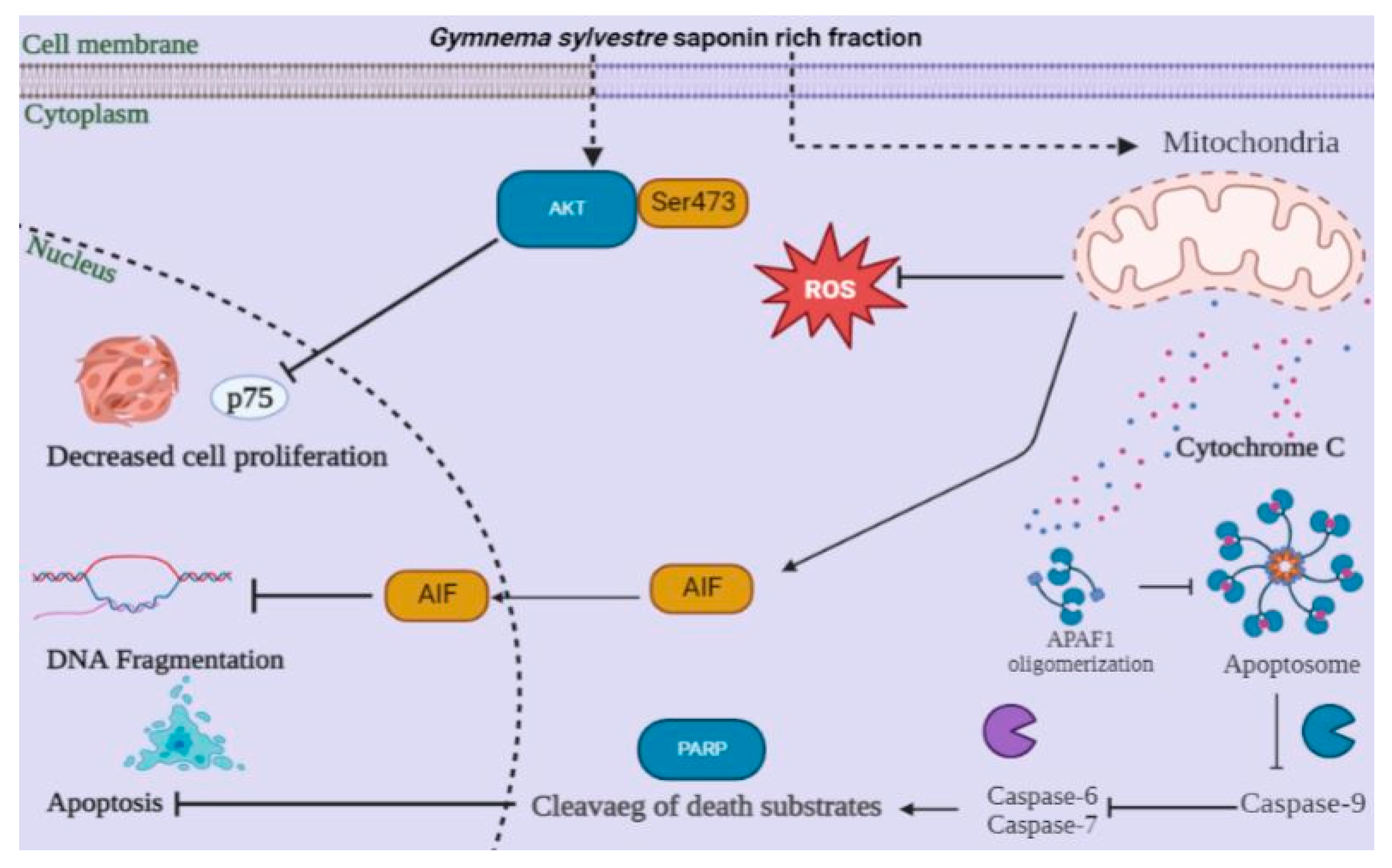 Antioxidants 12 00134 g008