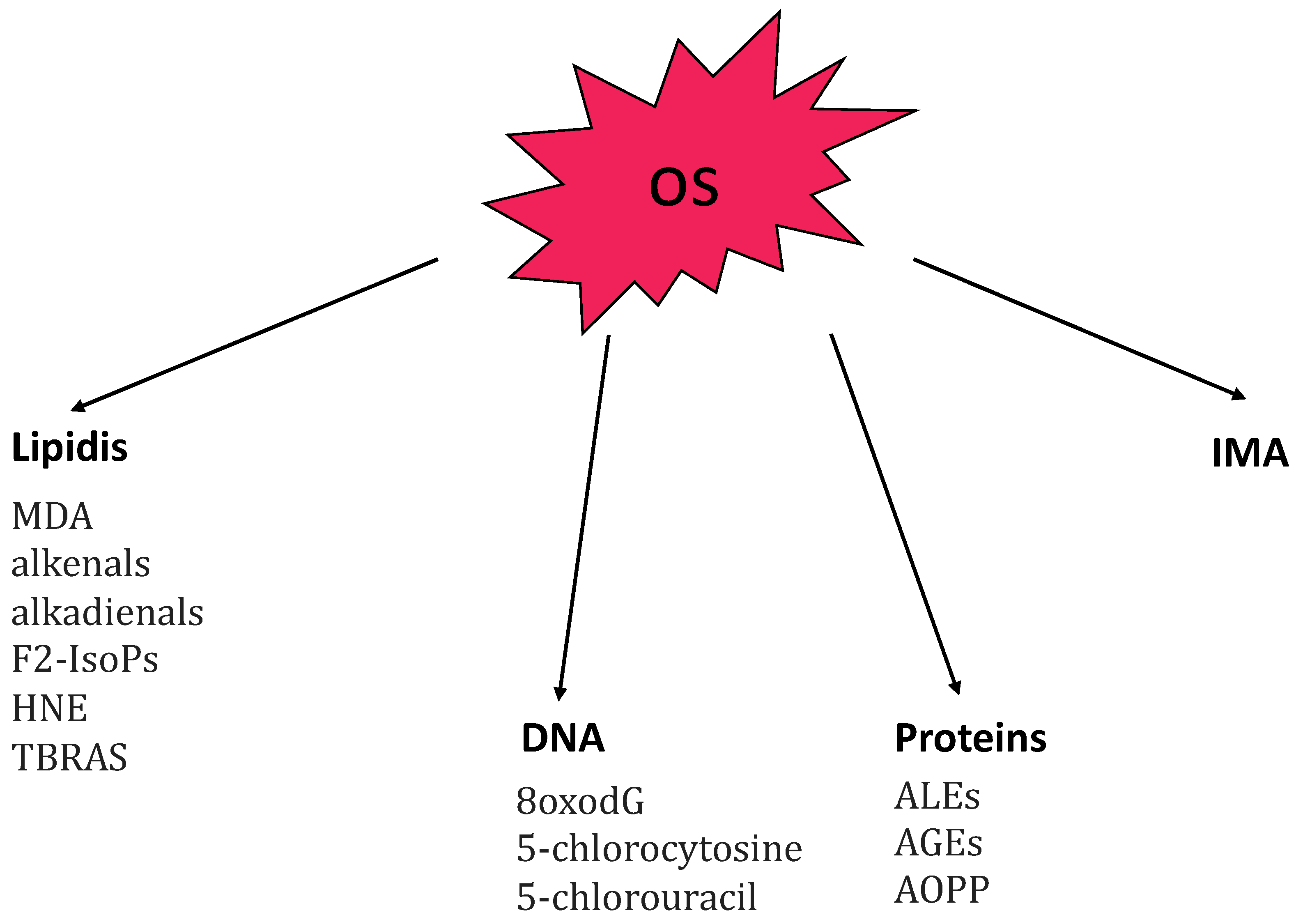 Antioxidants 12 00135 g001