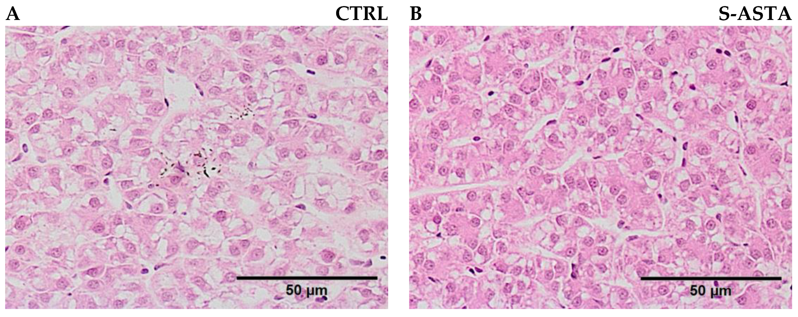 Antioxidants 12 00136 g002 Antioxidants 12 00136 g002