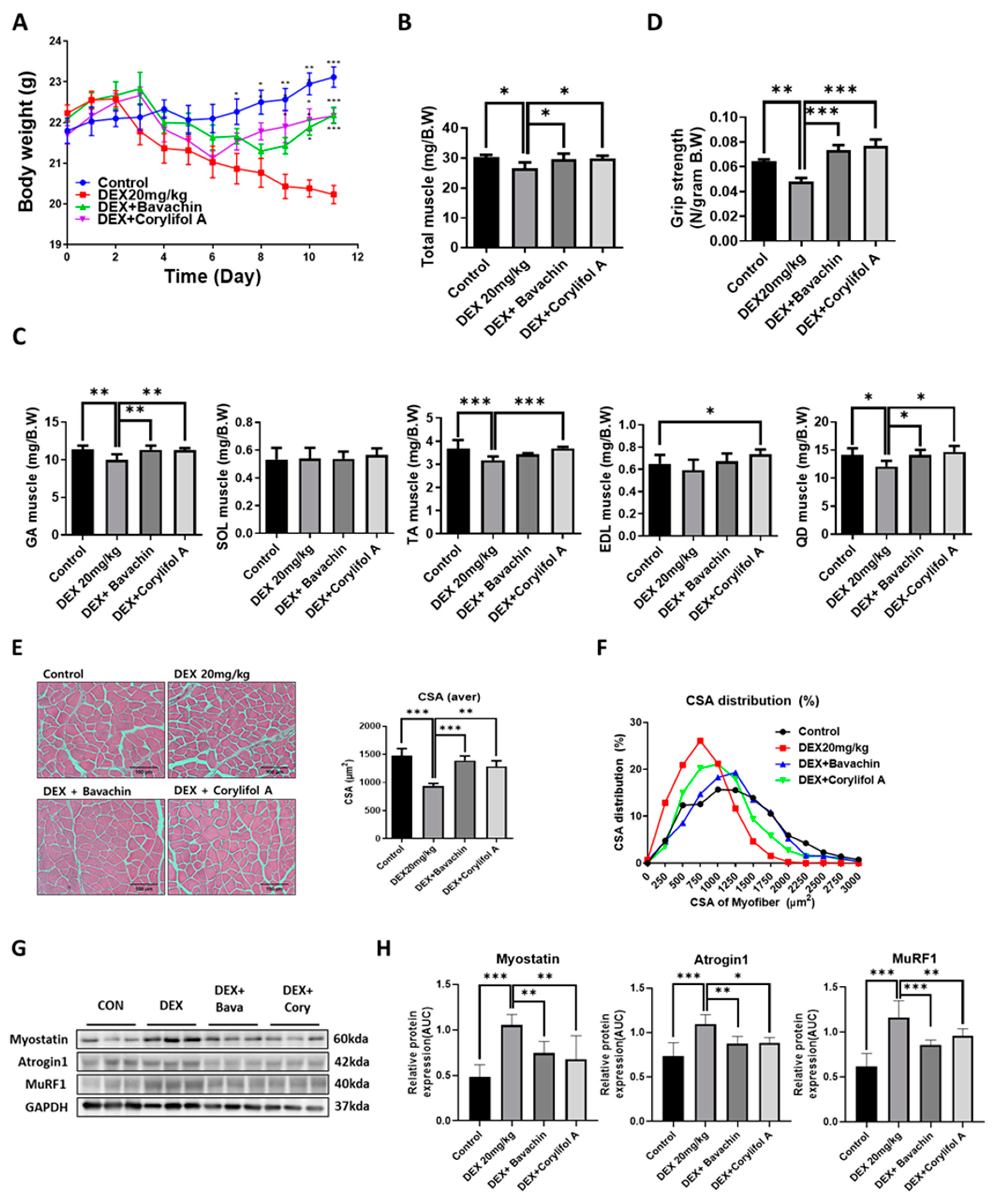 Antioxidants 12 00137 g001