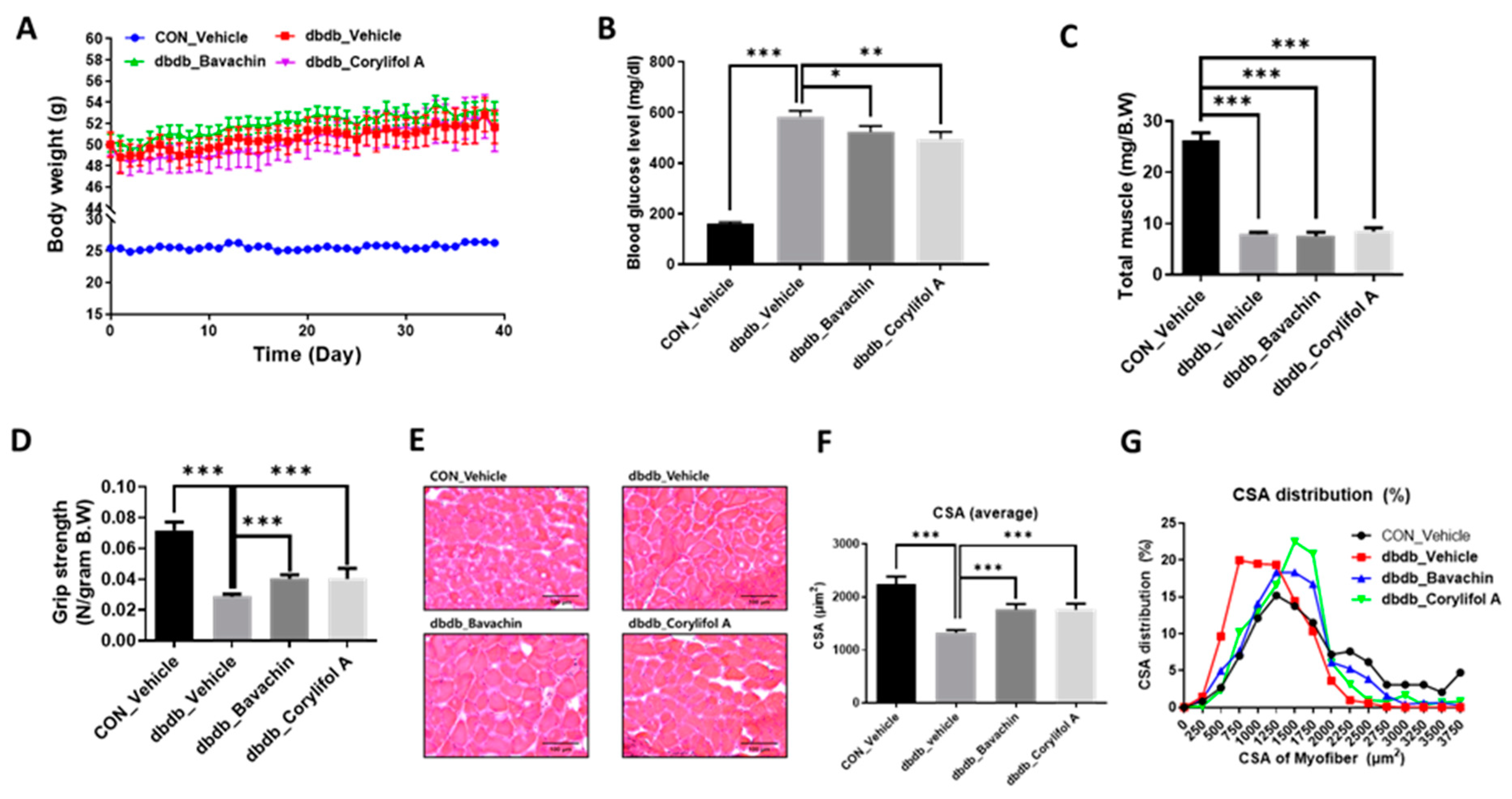 Antioxidants 12 00137 g002