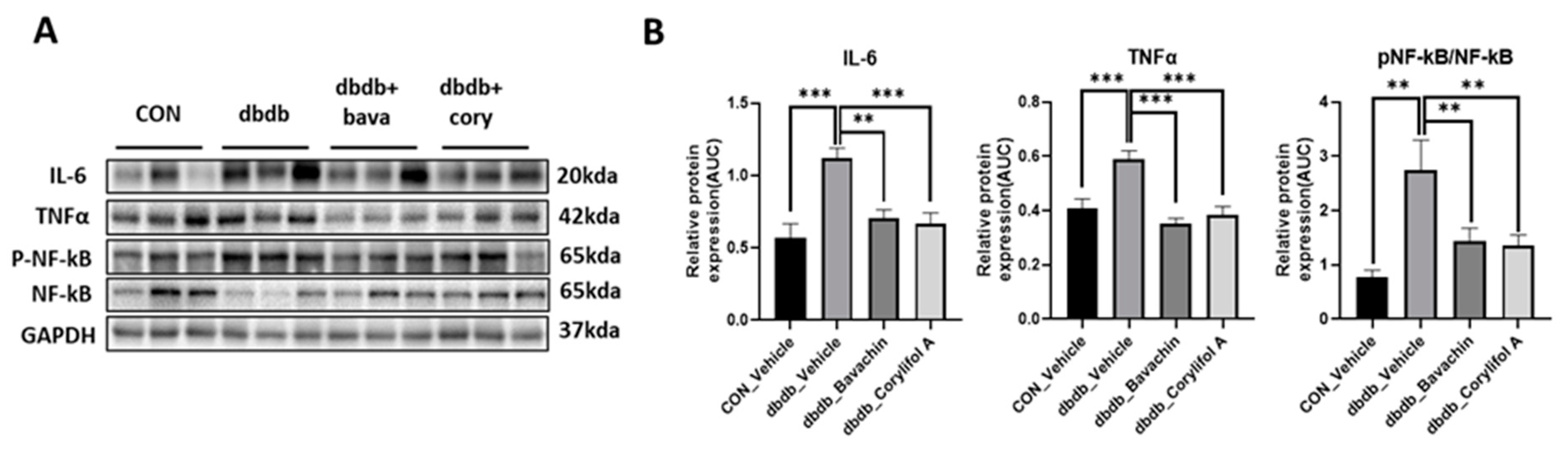 Antioxidants 12 00137 g003