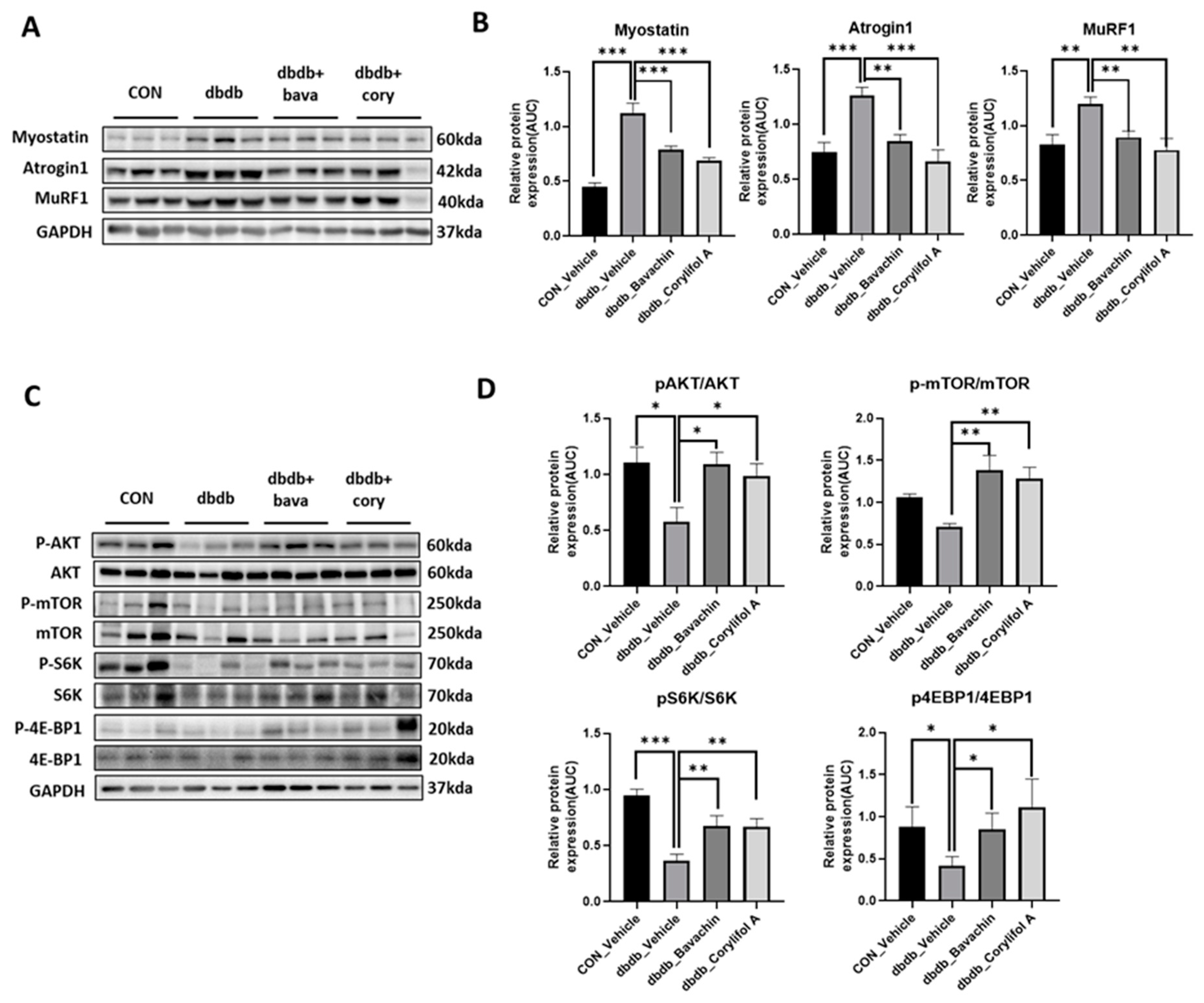 Antioxidants 12 00137 g004