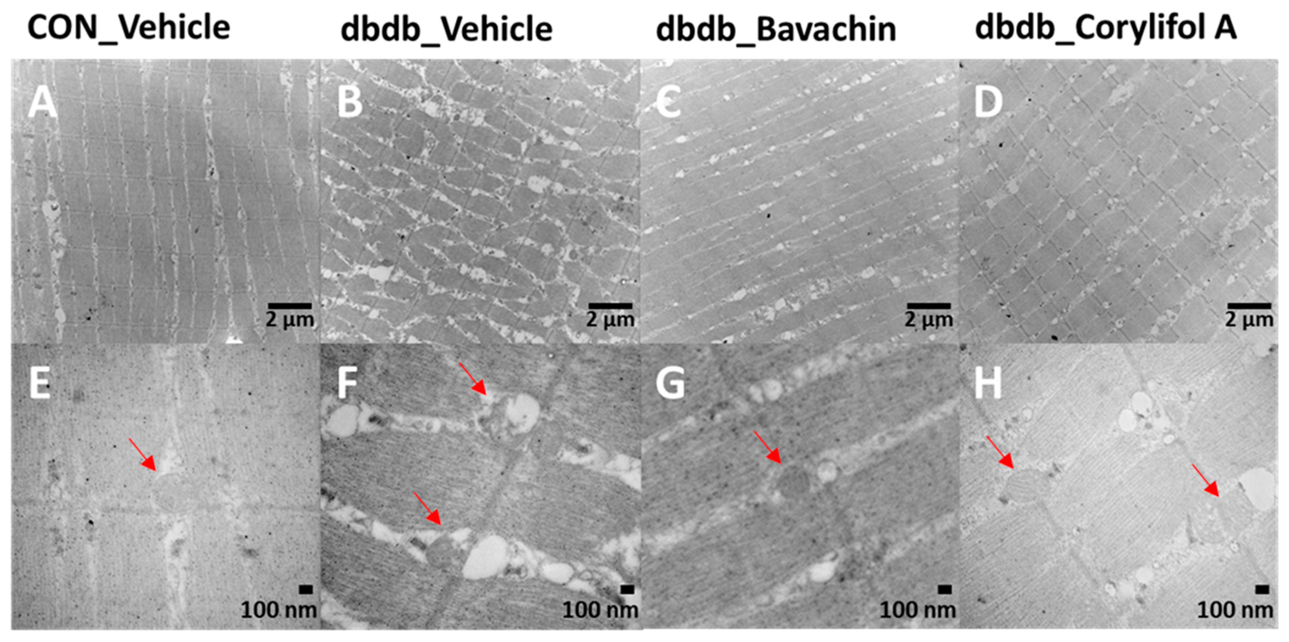 Antioxidants 12 00137 g005