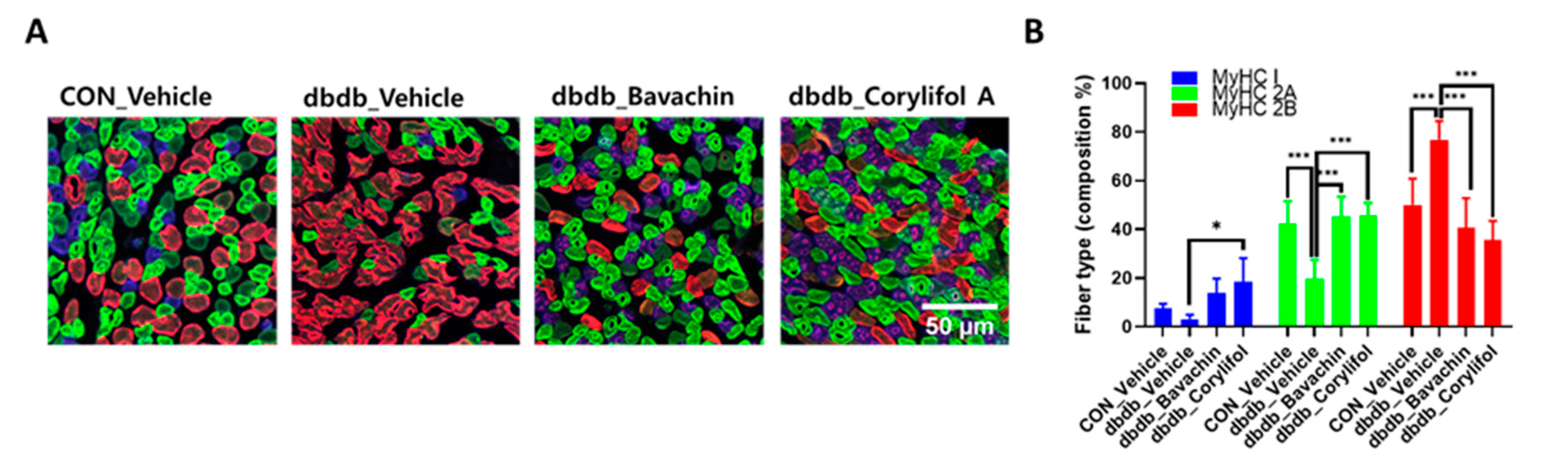 Antioxidants 12 00137 g006a
