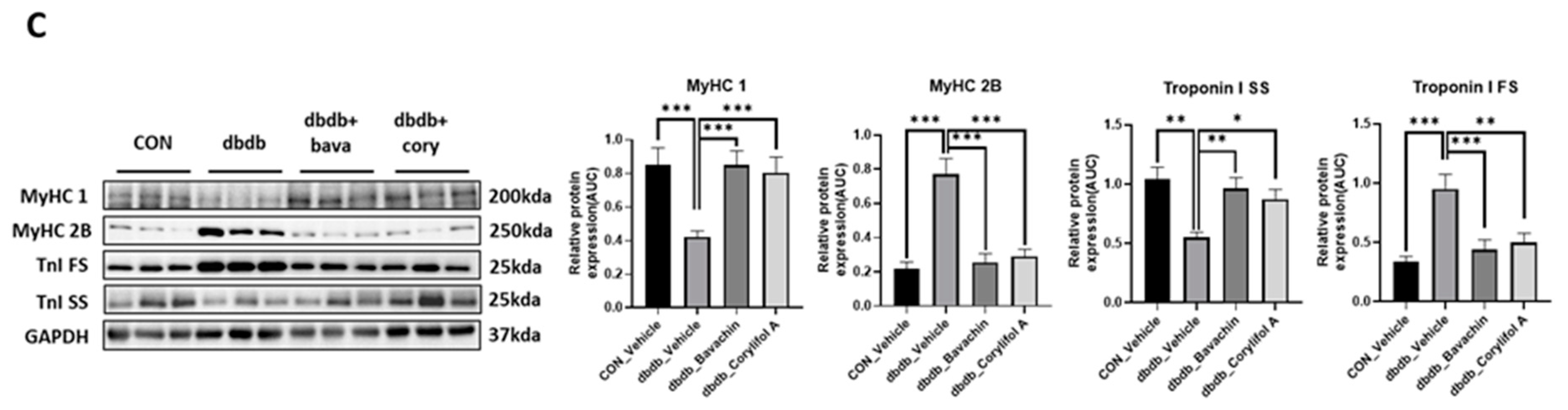 Antioxidants 12 00137 g006b