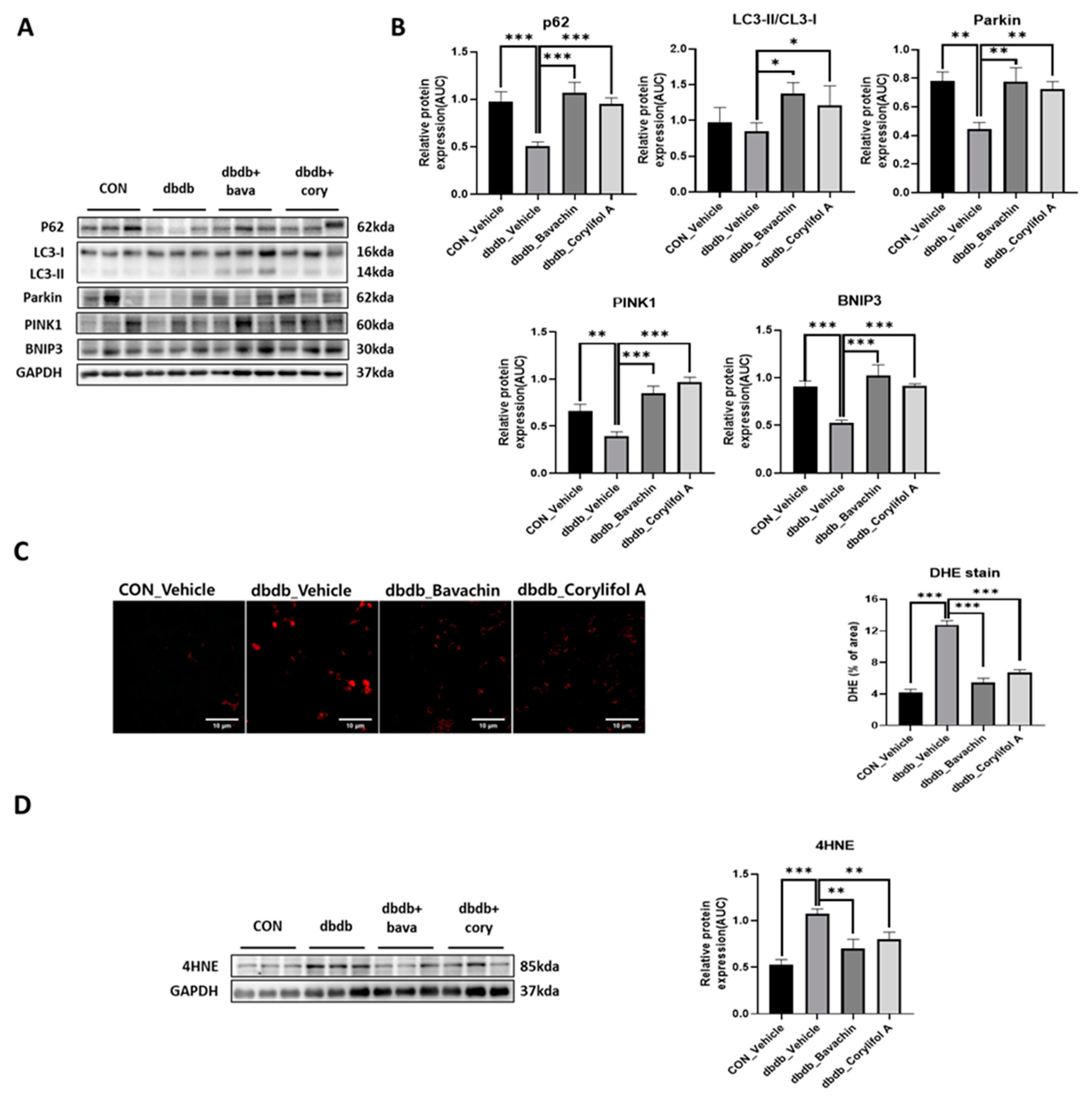 Antioxidants 12 00137 g008