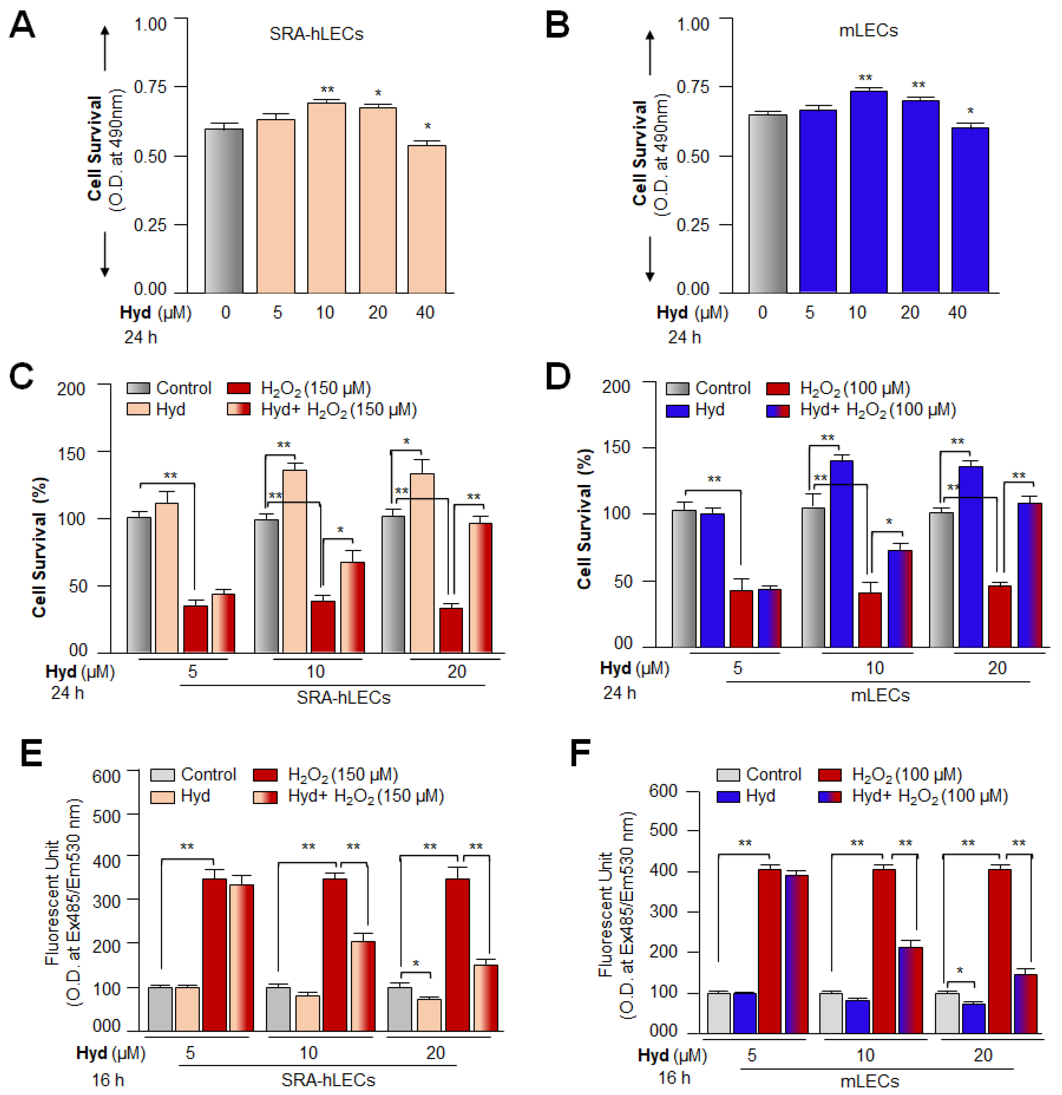 Antioxidants 12 00140 g001 Antioxidants 12 00140 g001