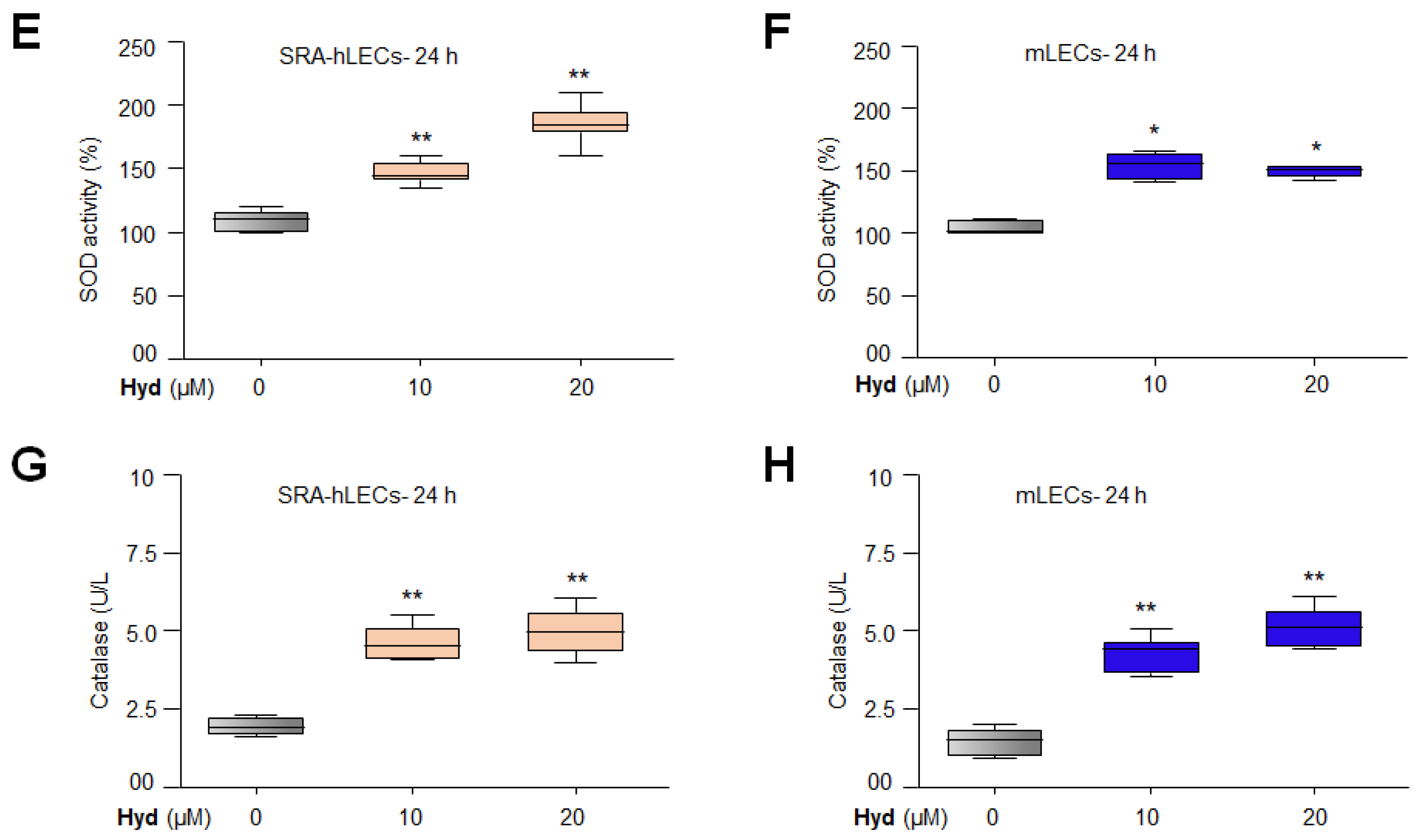 Antioxidants 12 00140 g005b Antioxidants 12 00140 g005b