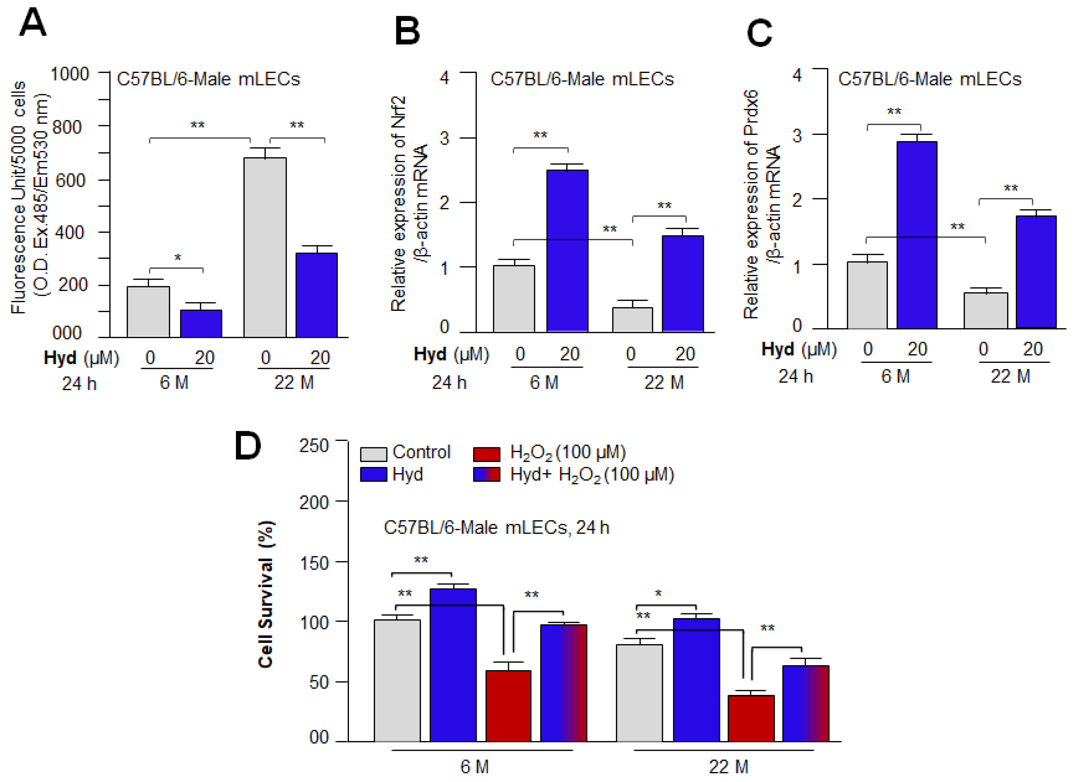 Antioxidants 12 00140 g009 Antioxidants 12 00140 g009