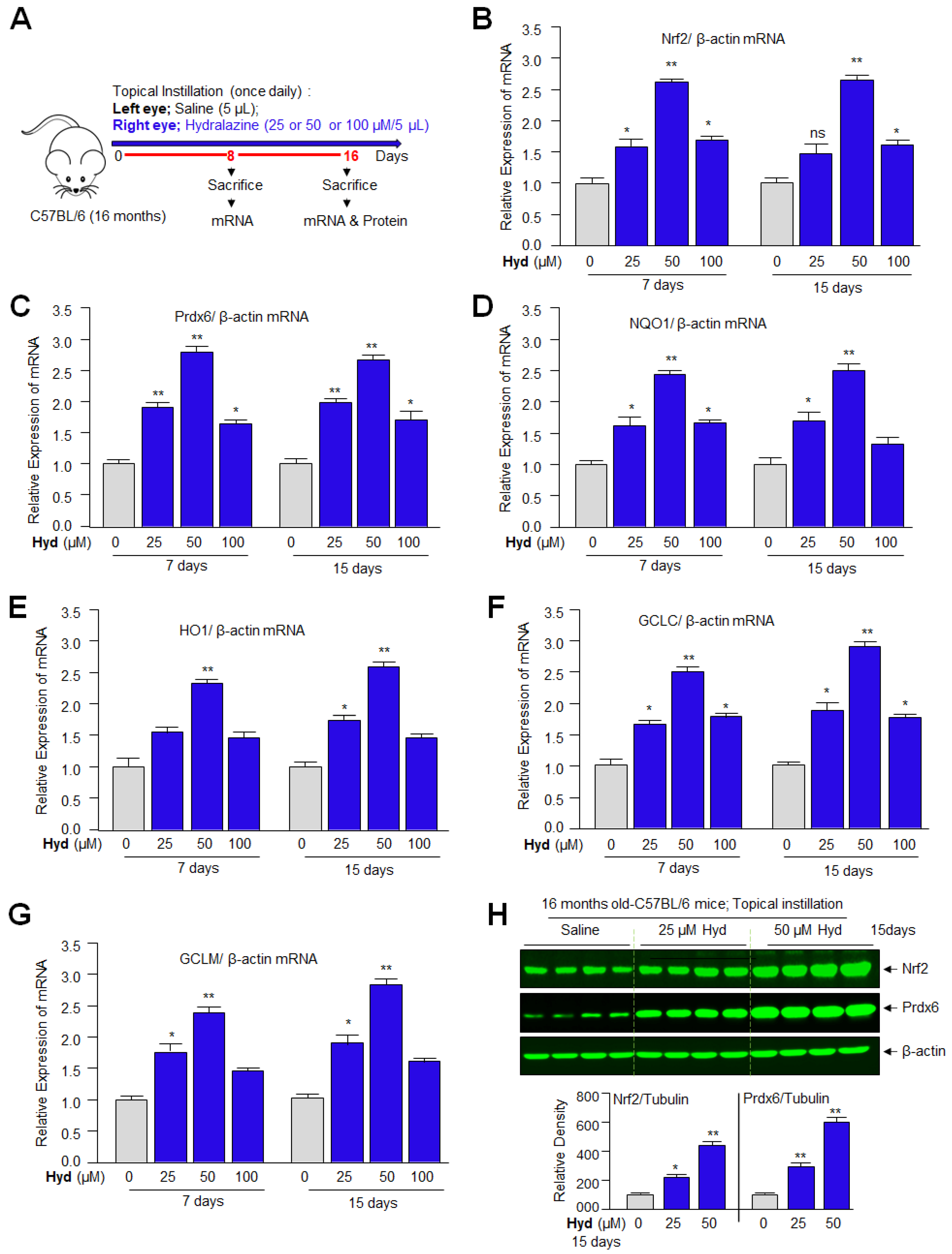 Antioxidants 12 00140 g010 Antioxidants 12 00140 g010