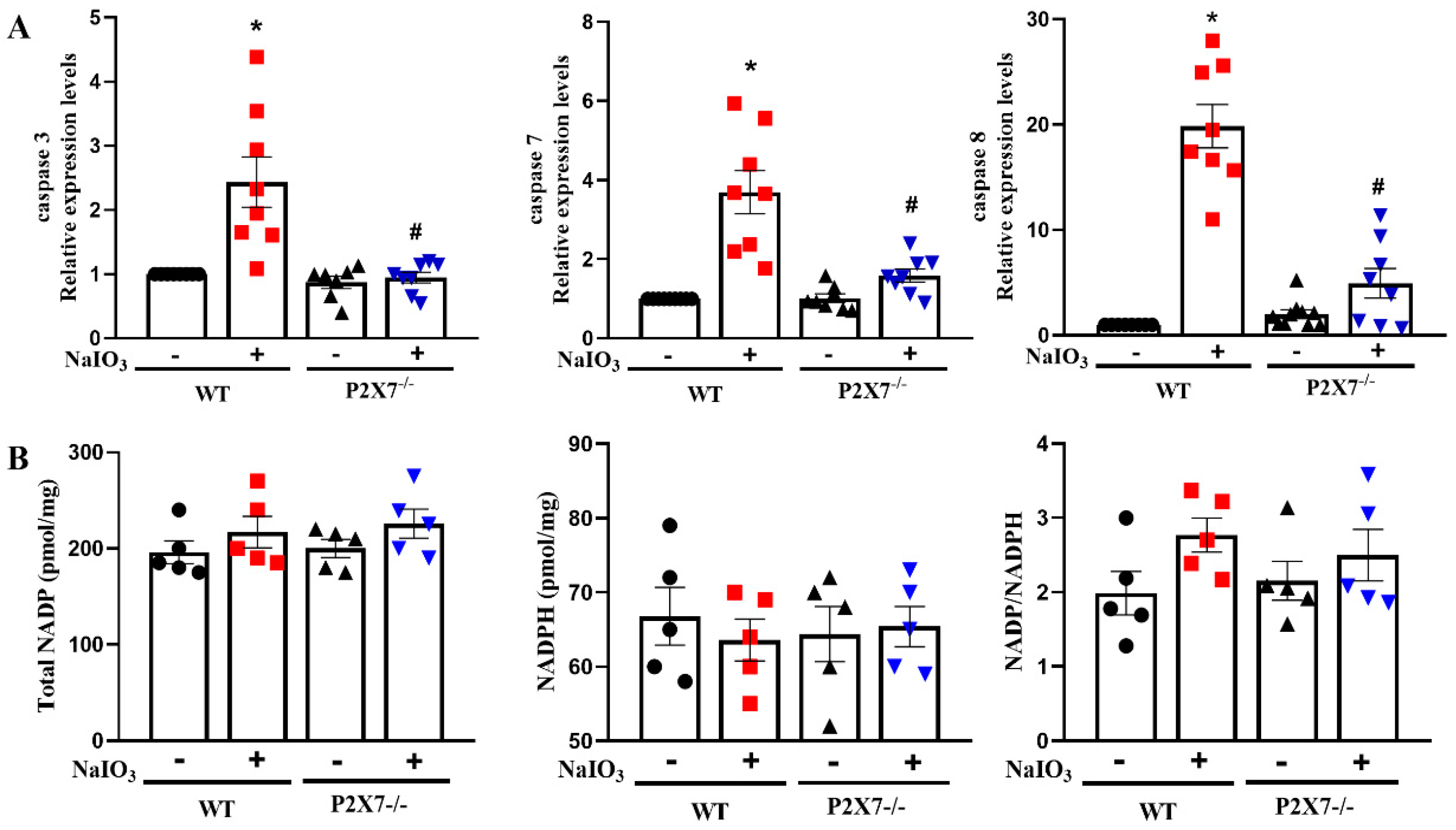 Antioxidants 12 00141 g006 Antioxidants 12 00141 g006