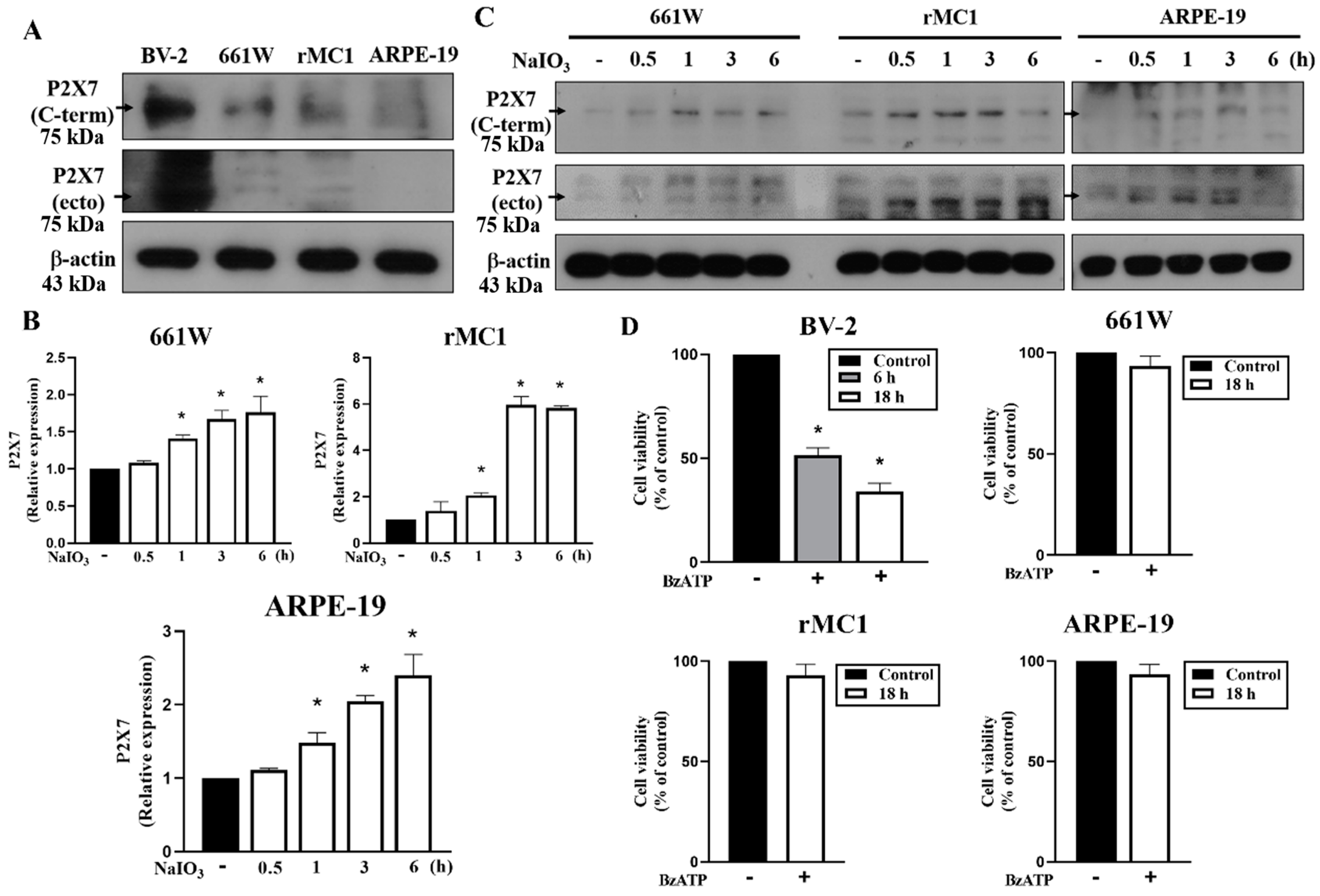 Antioxidants 12 00141 g007 Antioxidants 12 00141 g007