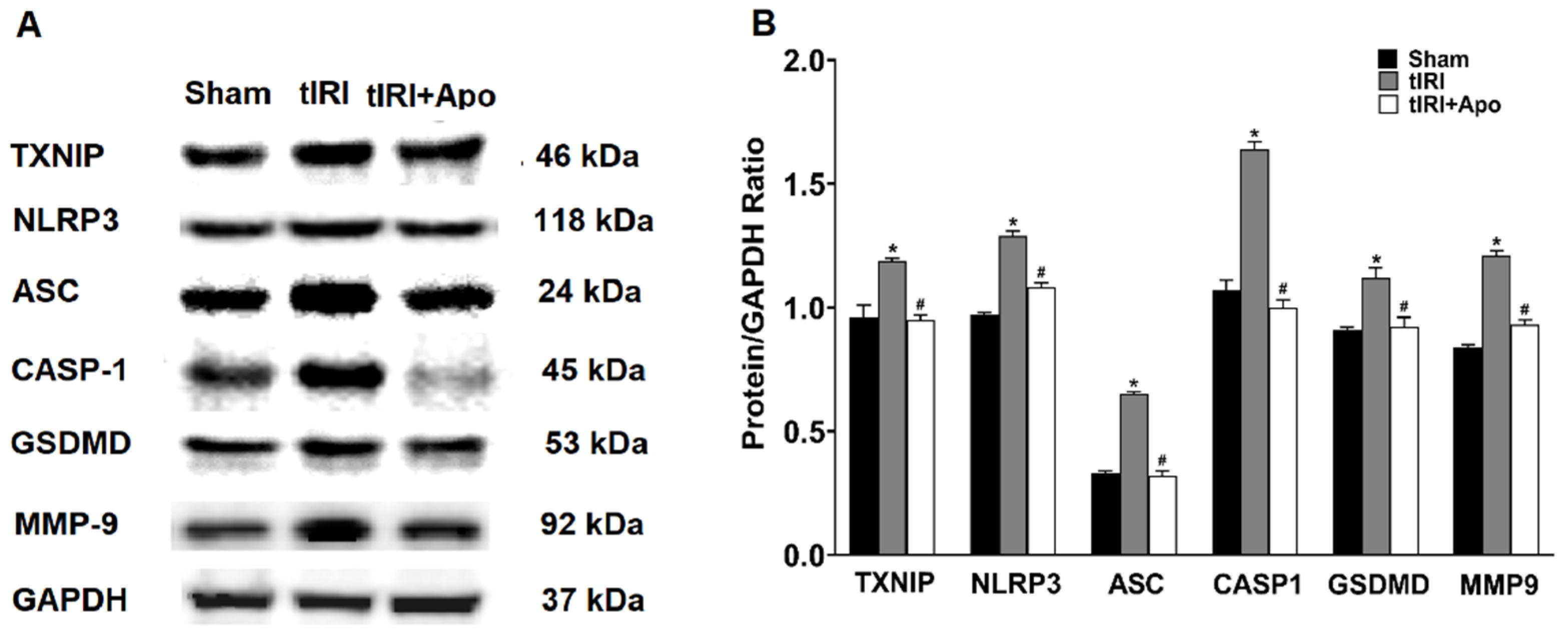 Antioxidants 12 00145 g002