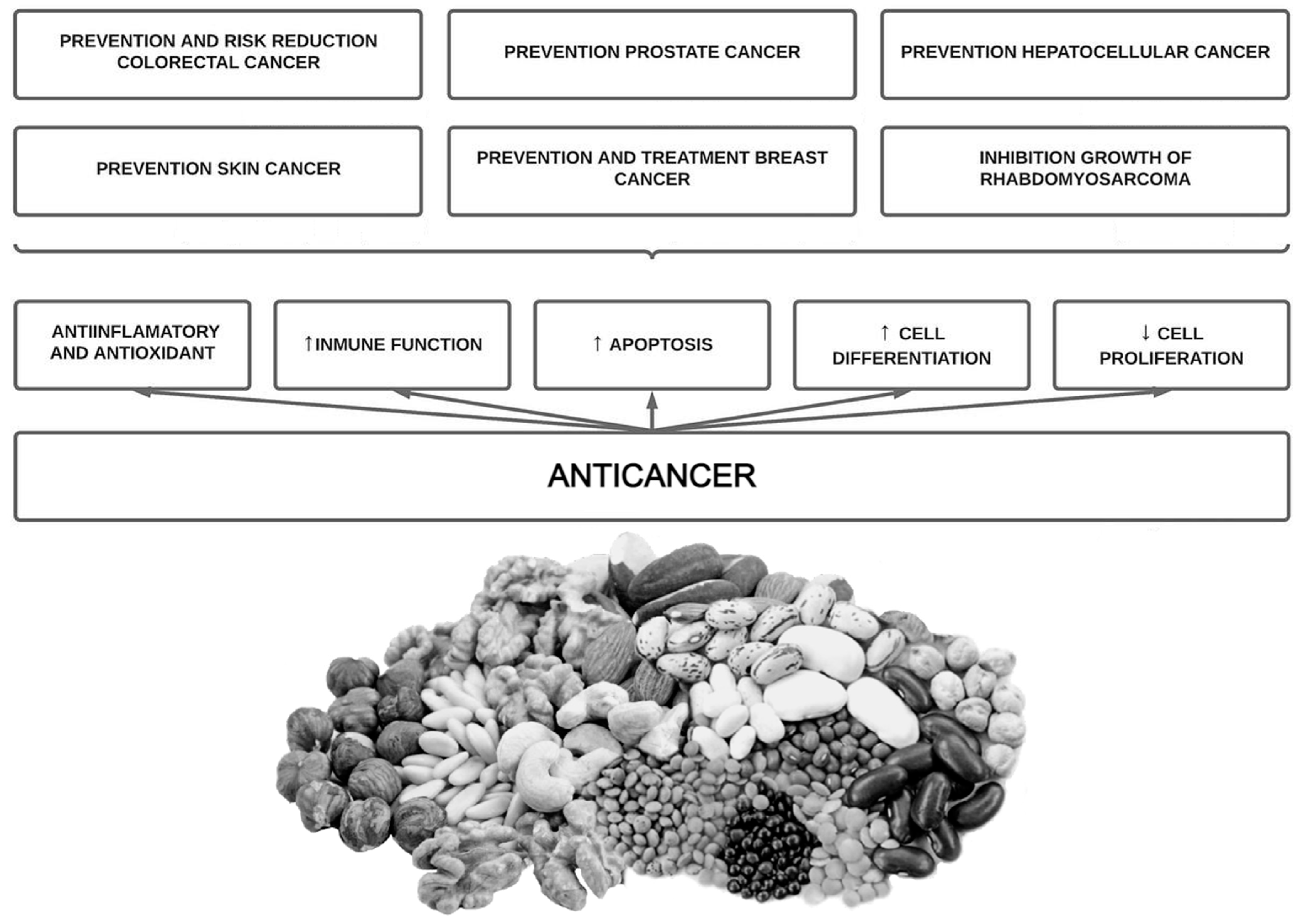 Antioxidants 12 00146 g003
