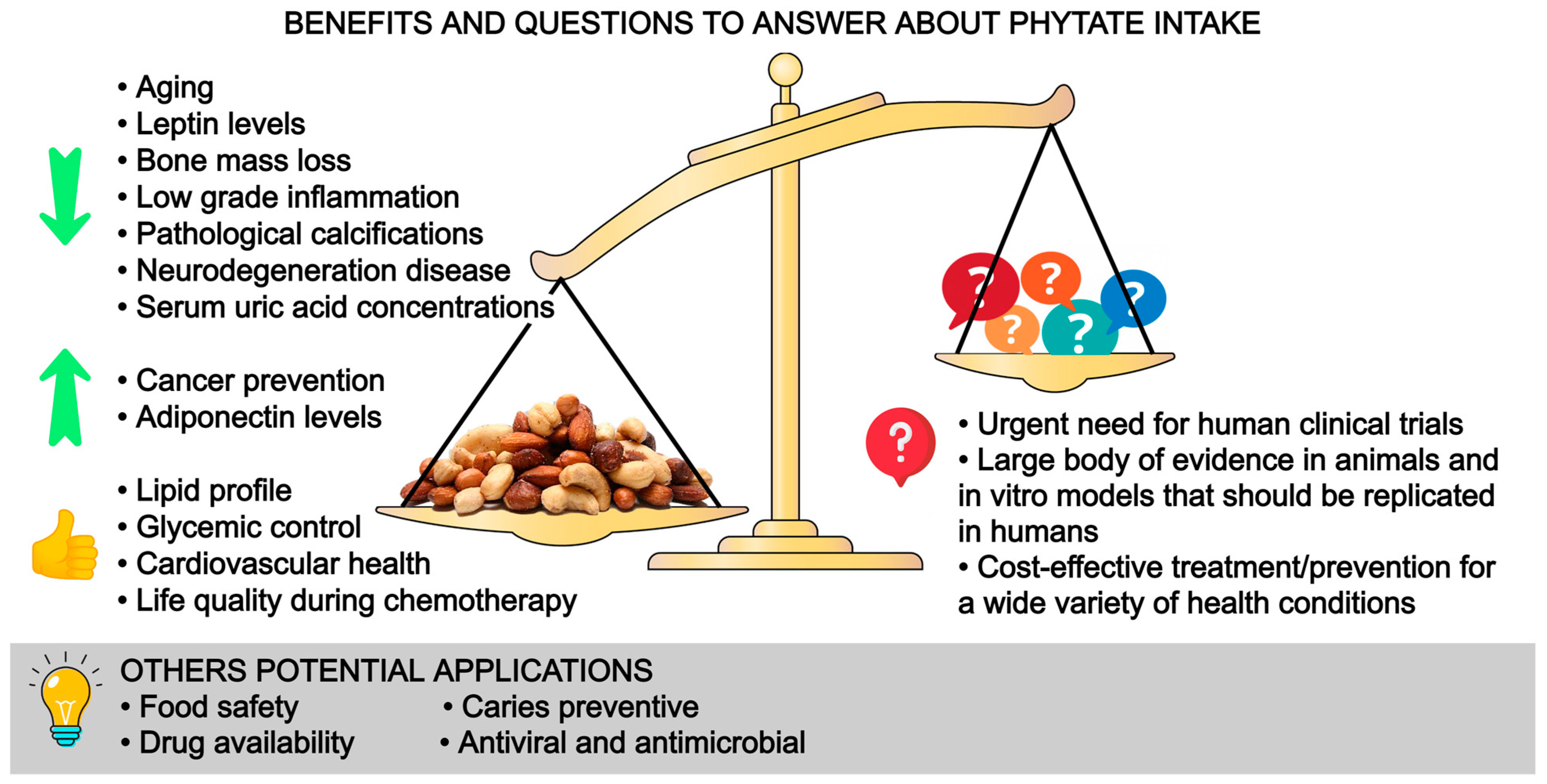 Antioxidants 12 00146 g004