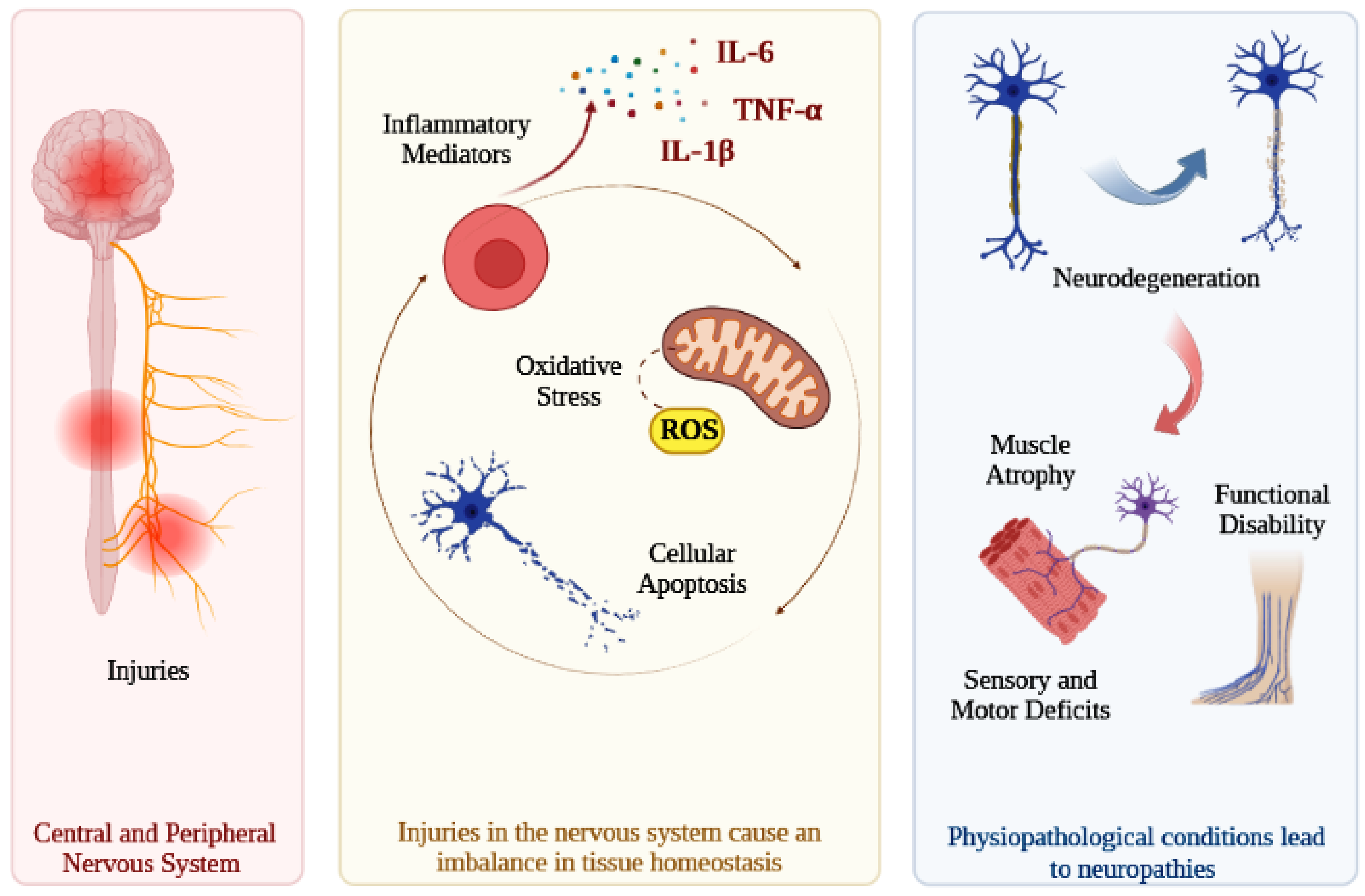 Antioxidants 12 00149 g001