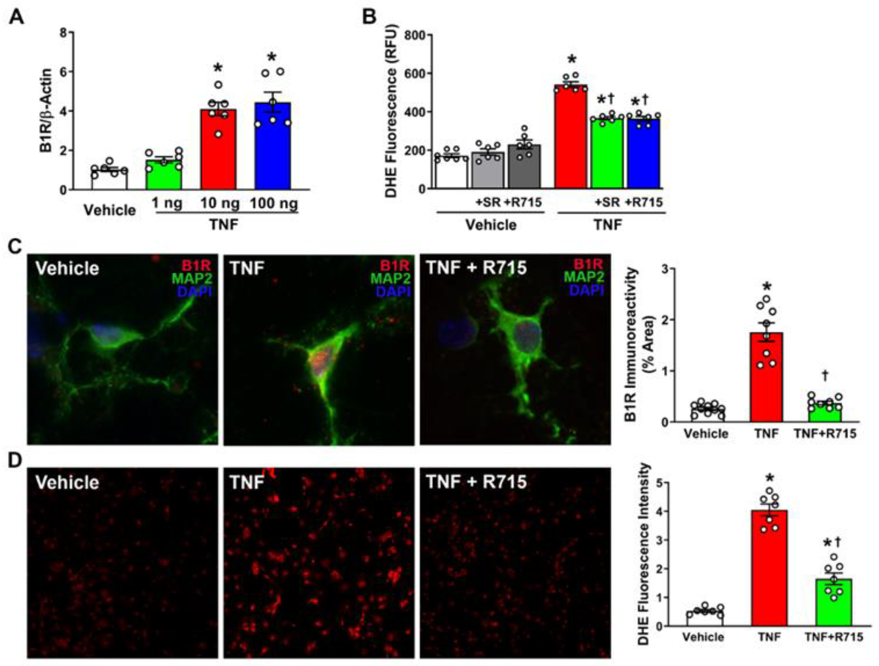 Antioxidants 12 00150 g002