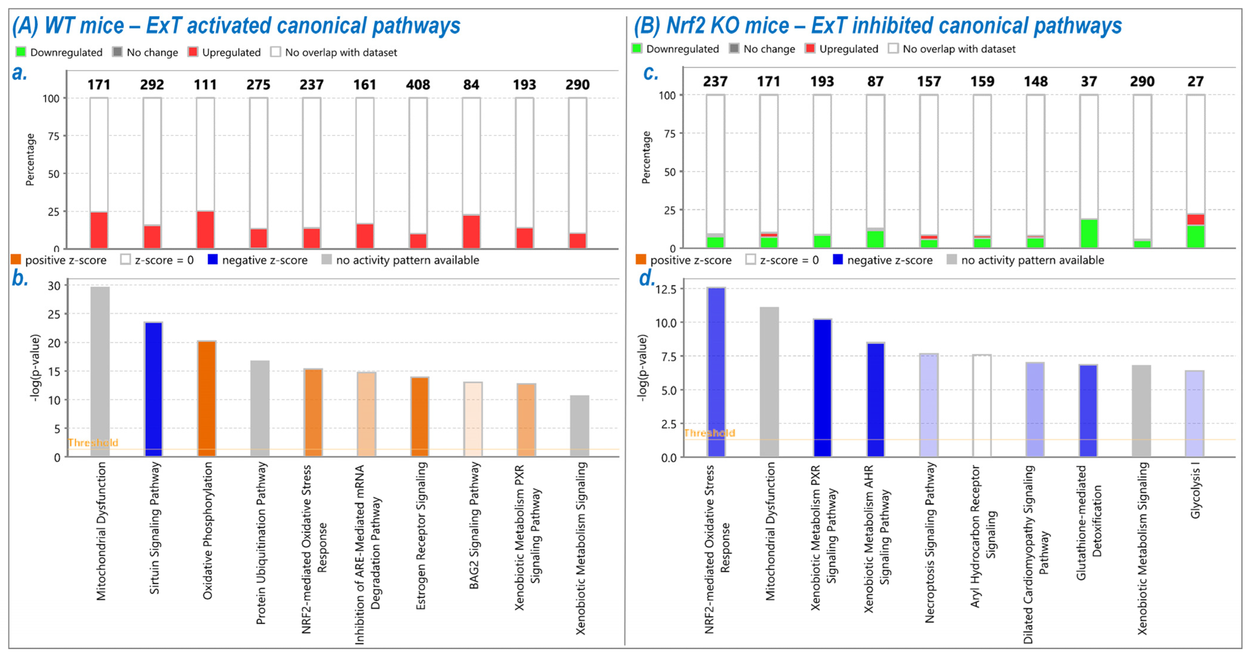 Antioxidants 12 00151 g004