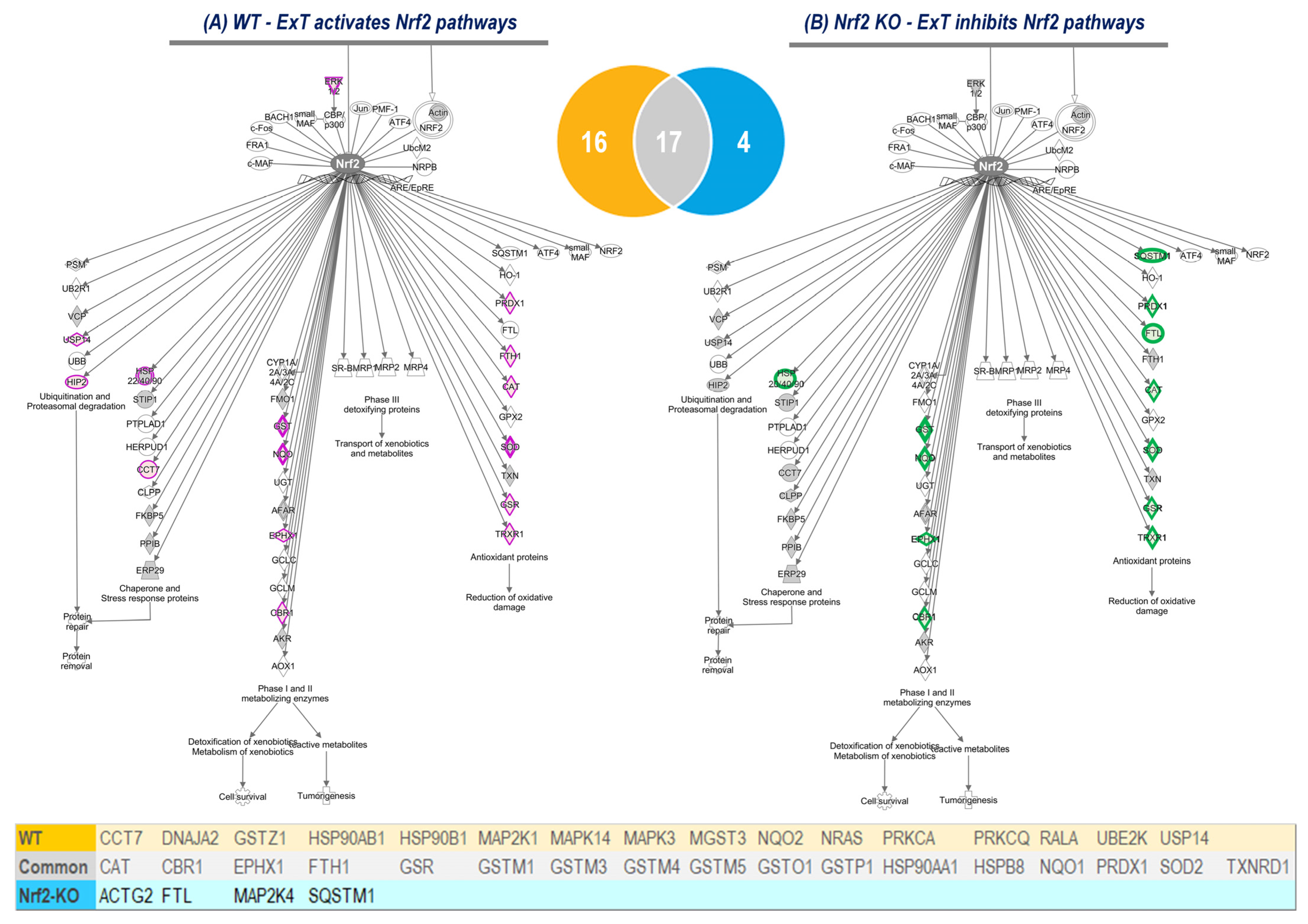 Antioxidants 12 00151 g006